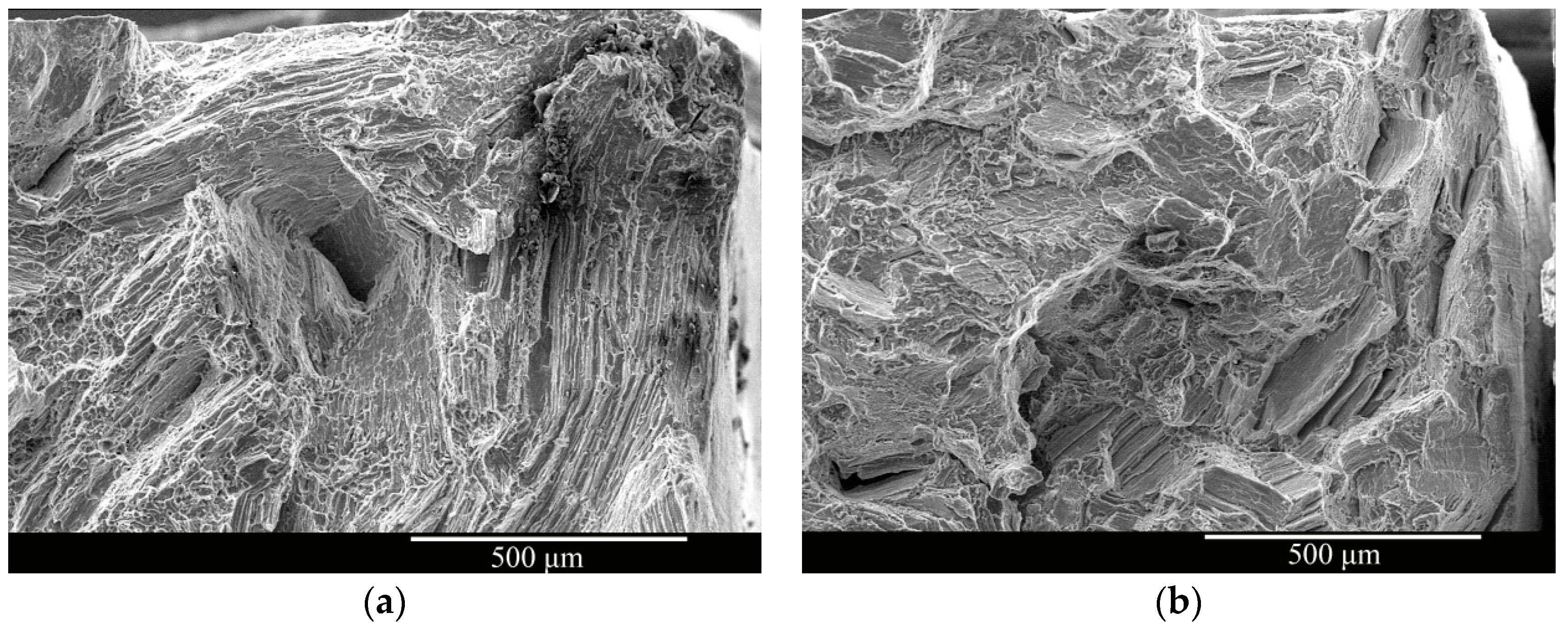 Materials 16 02406 g013