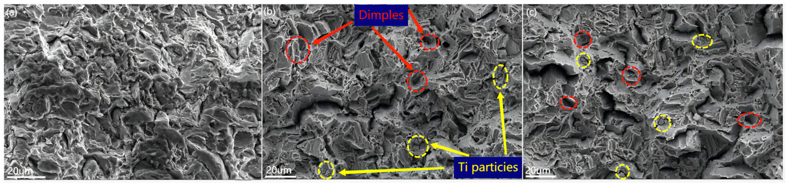 Materials 16 02407 g010 Materials 16 02407 g010