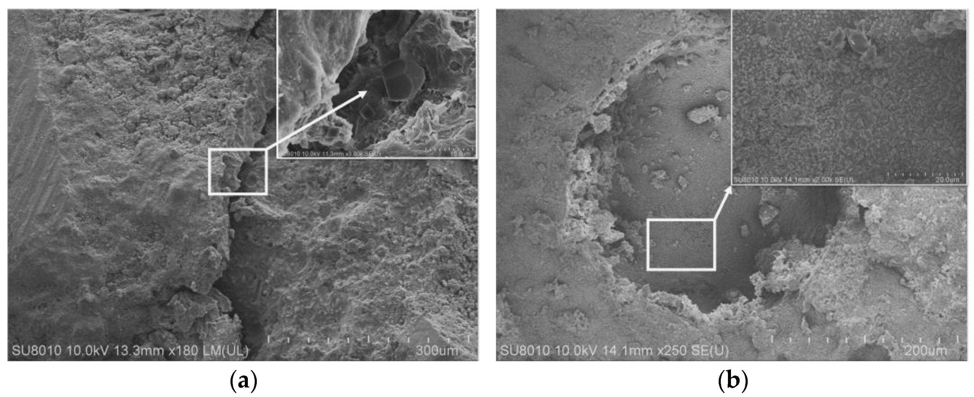 Materials 16 02414 g004