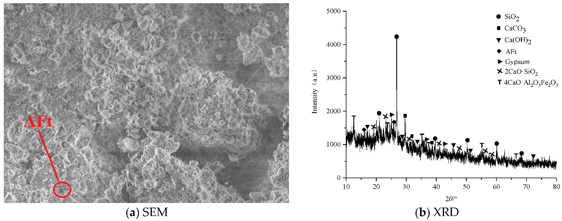 Materials 16 02418 g004 550
