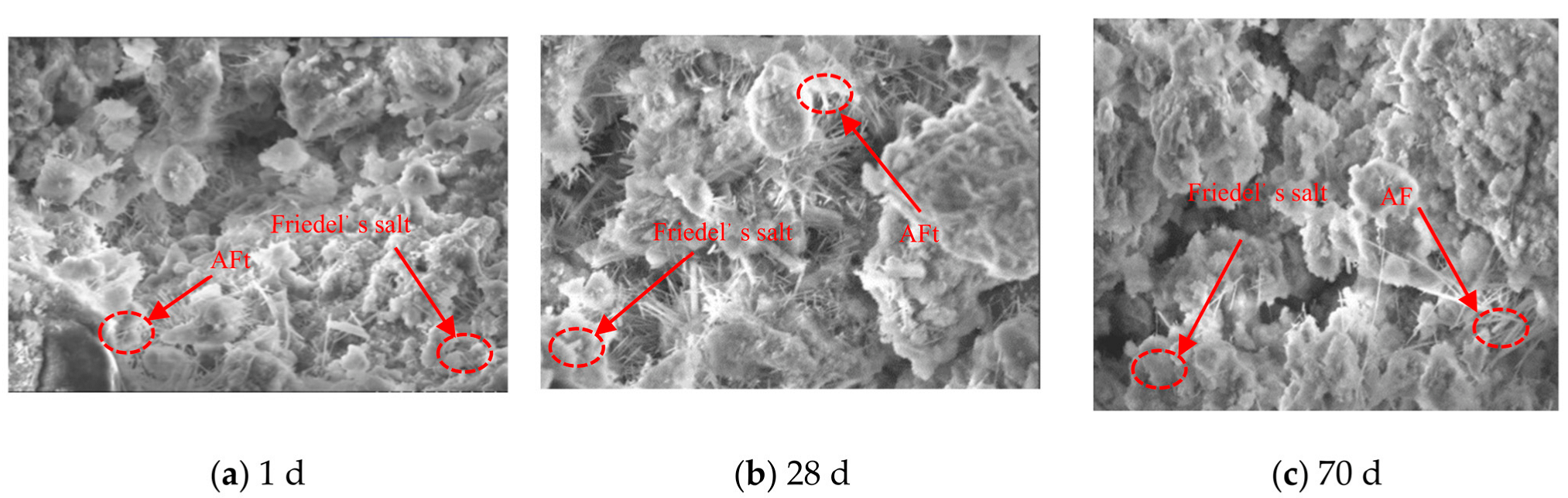 Materials 16 02418 g006 550