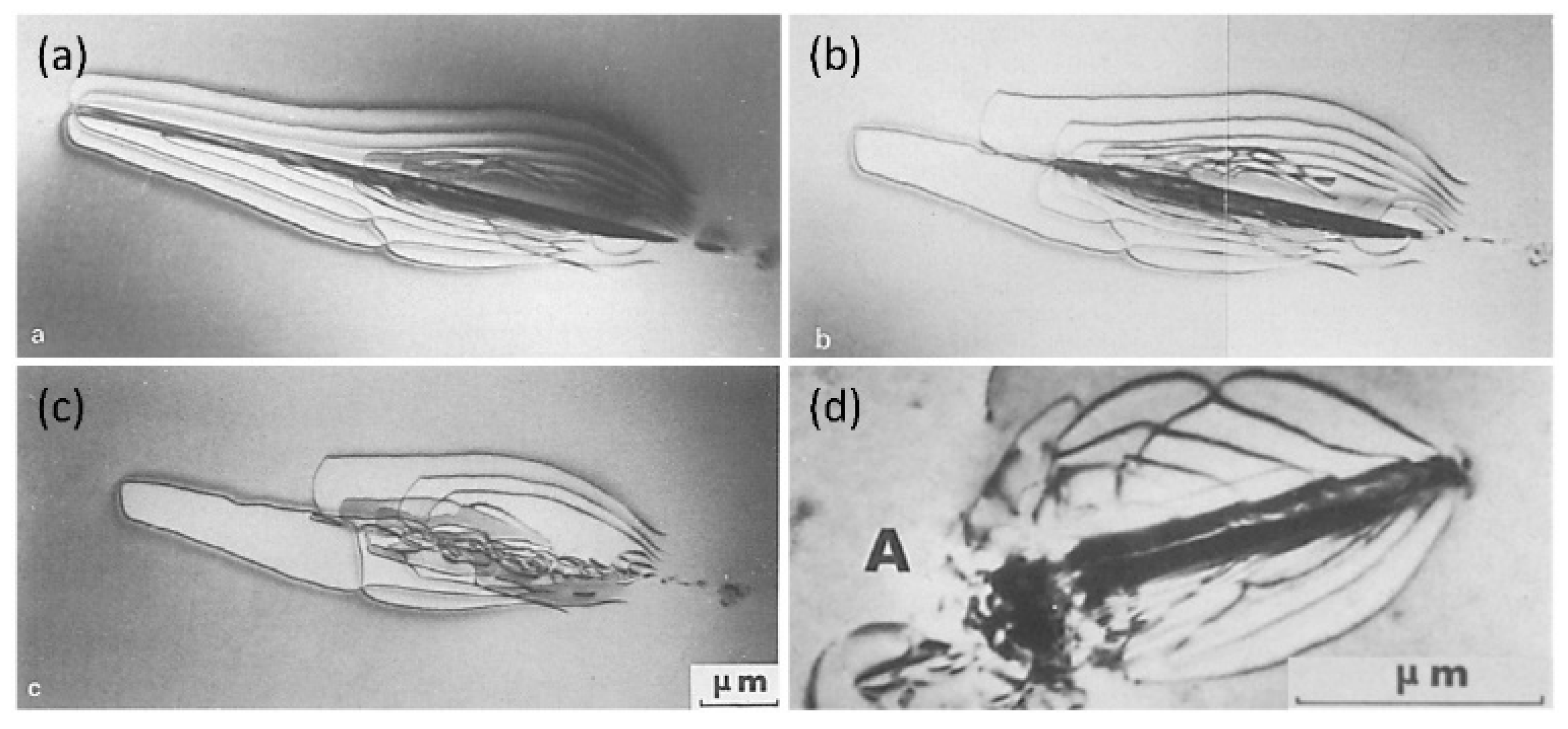 Materials 16 02419 g004 Materials 16 02419 g004