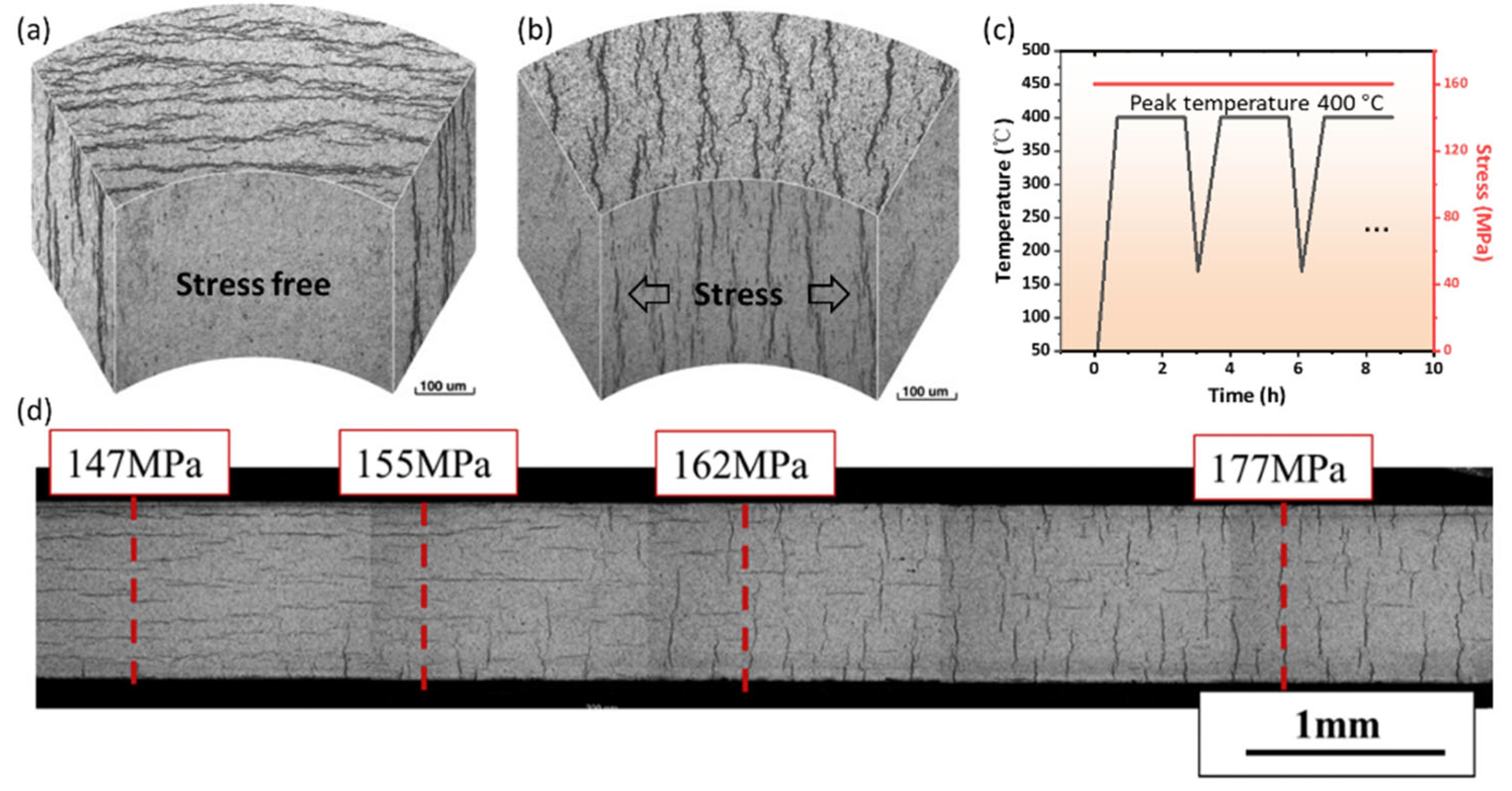 Materials 16 02419 g007 Materials 16 02419 g007