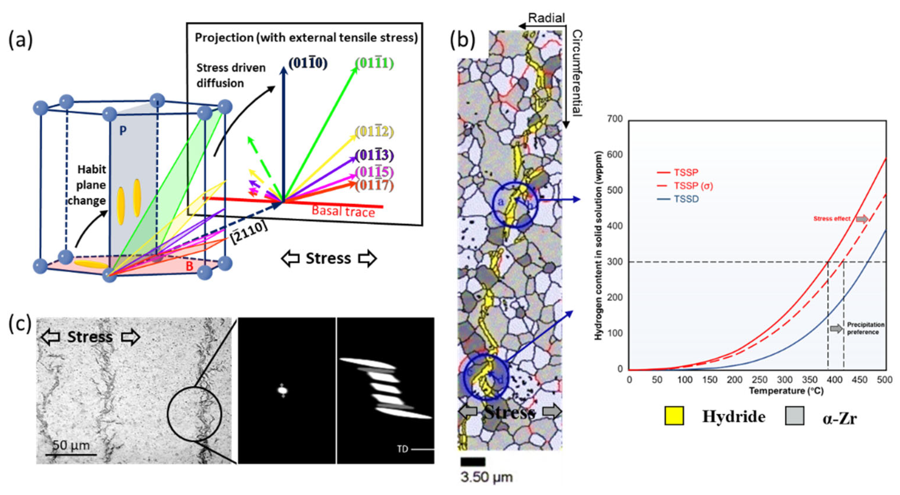 Materials 16 02419 g008 Materials 16 02419 g008
