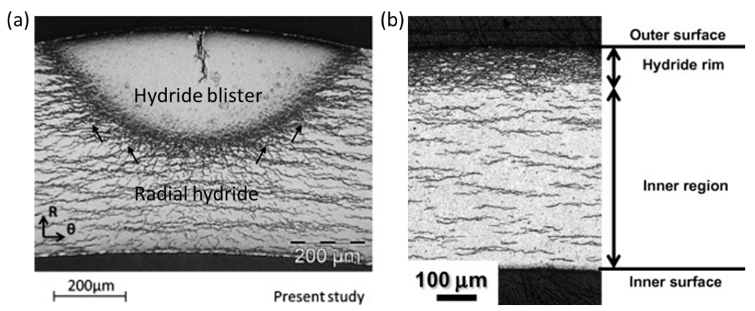 Materials 16 02419 g011 Materials 16 02419 g011