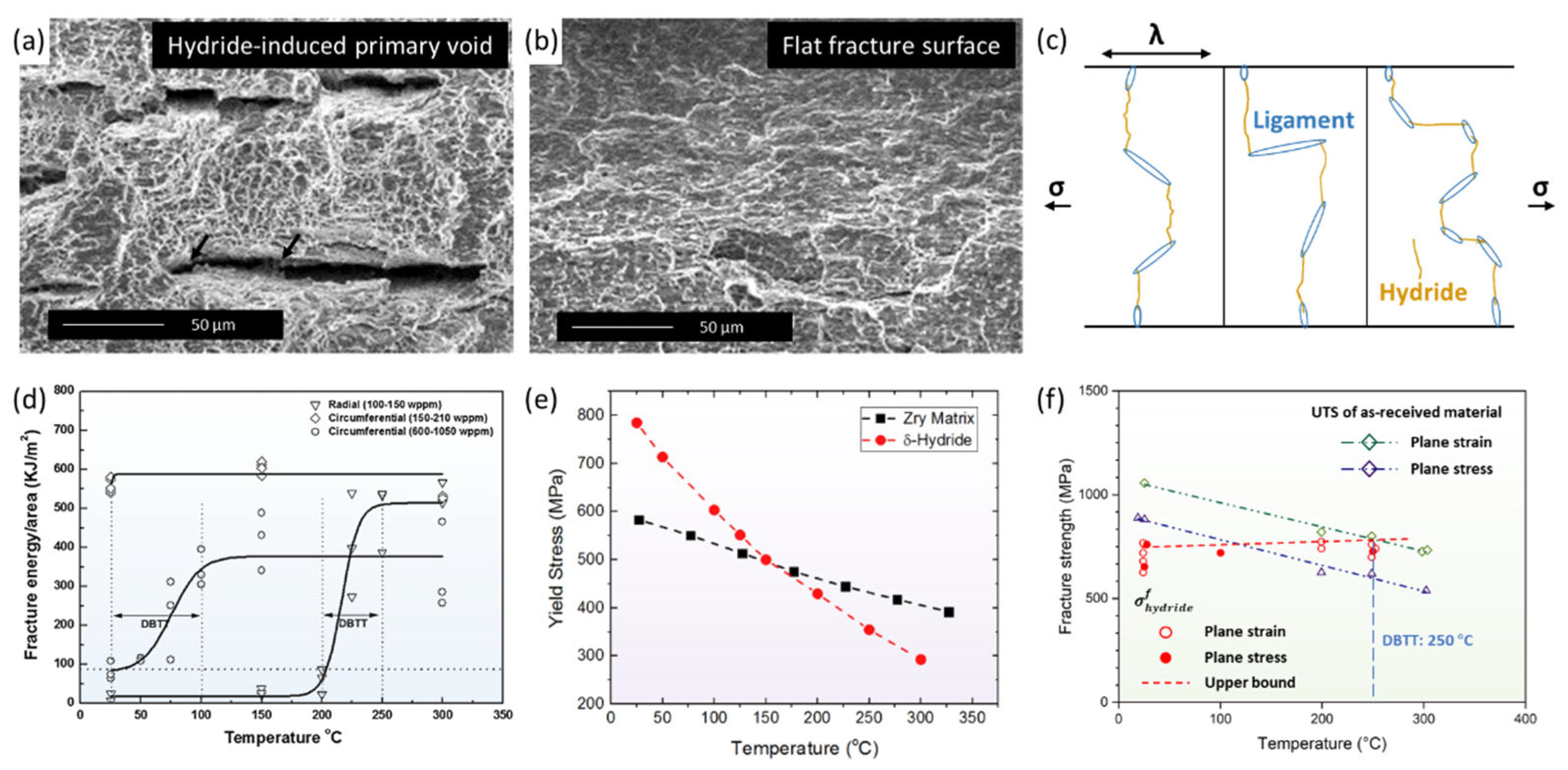Materials 16 02419 g012 Materials 16 02419 g012