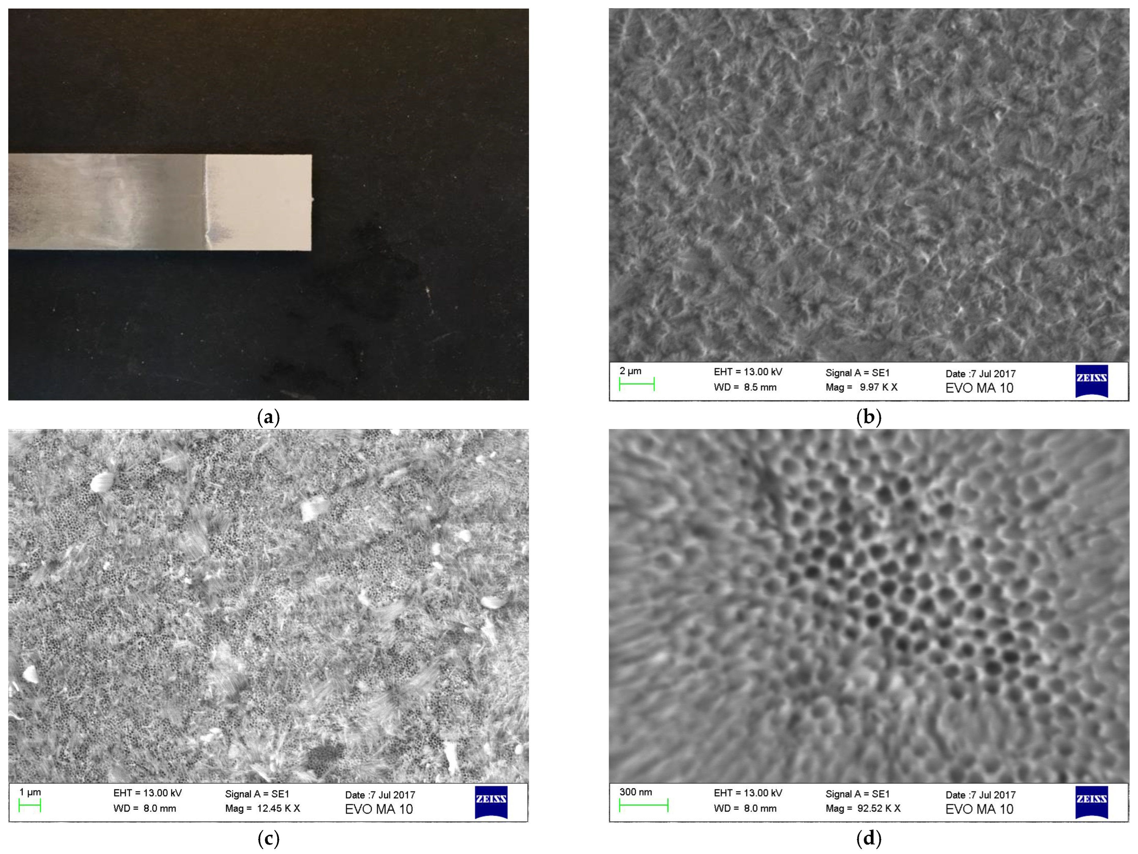 Materials 16 02428 g006