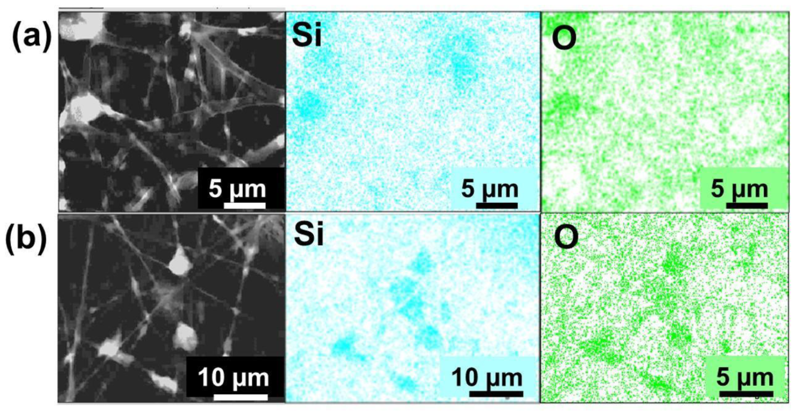 Materials 16 02429 g008 Materials 16 02429 g008
