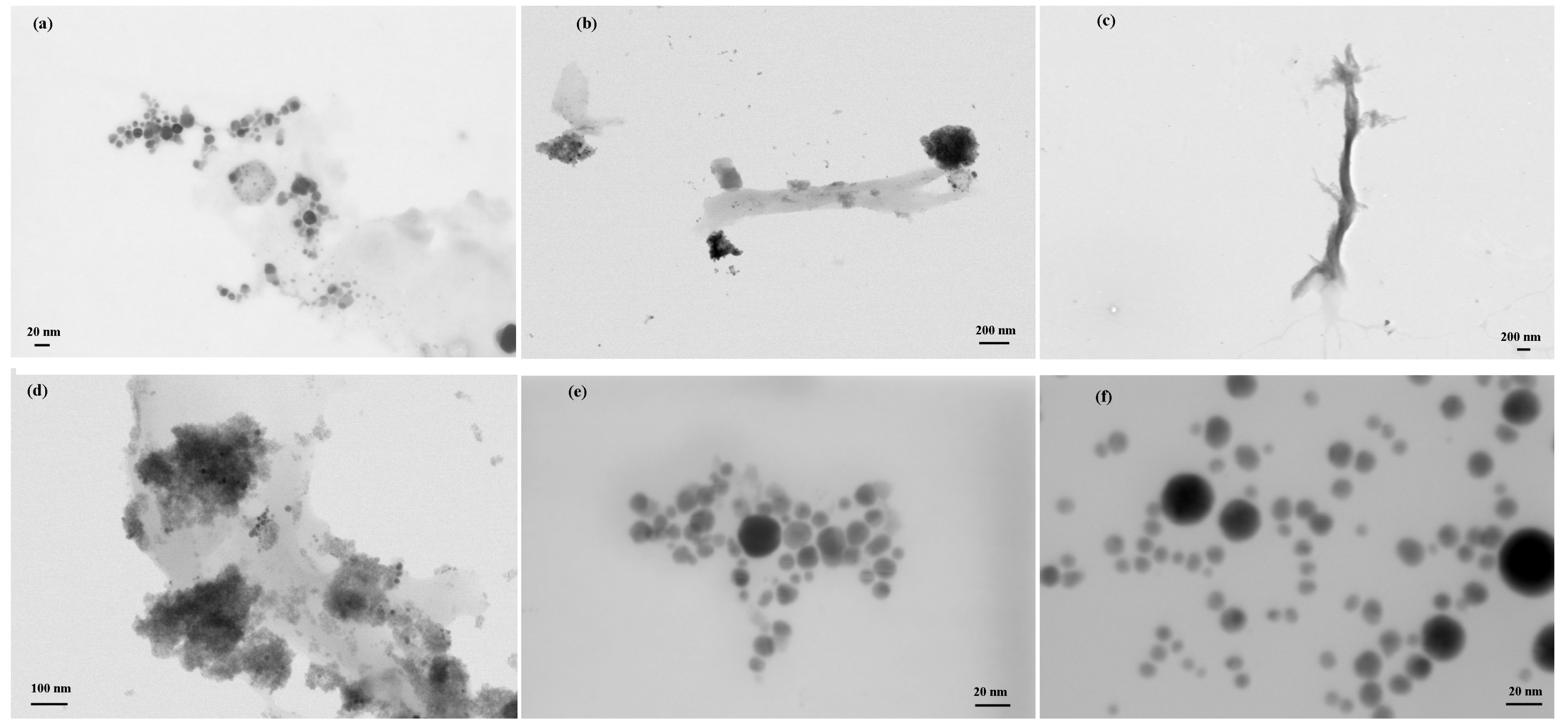 Materials 16 02435 g005 Materials 16 02435 g005