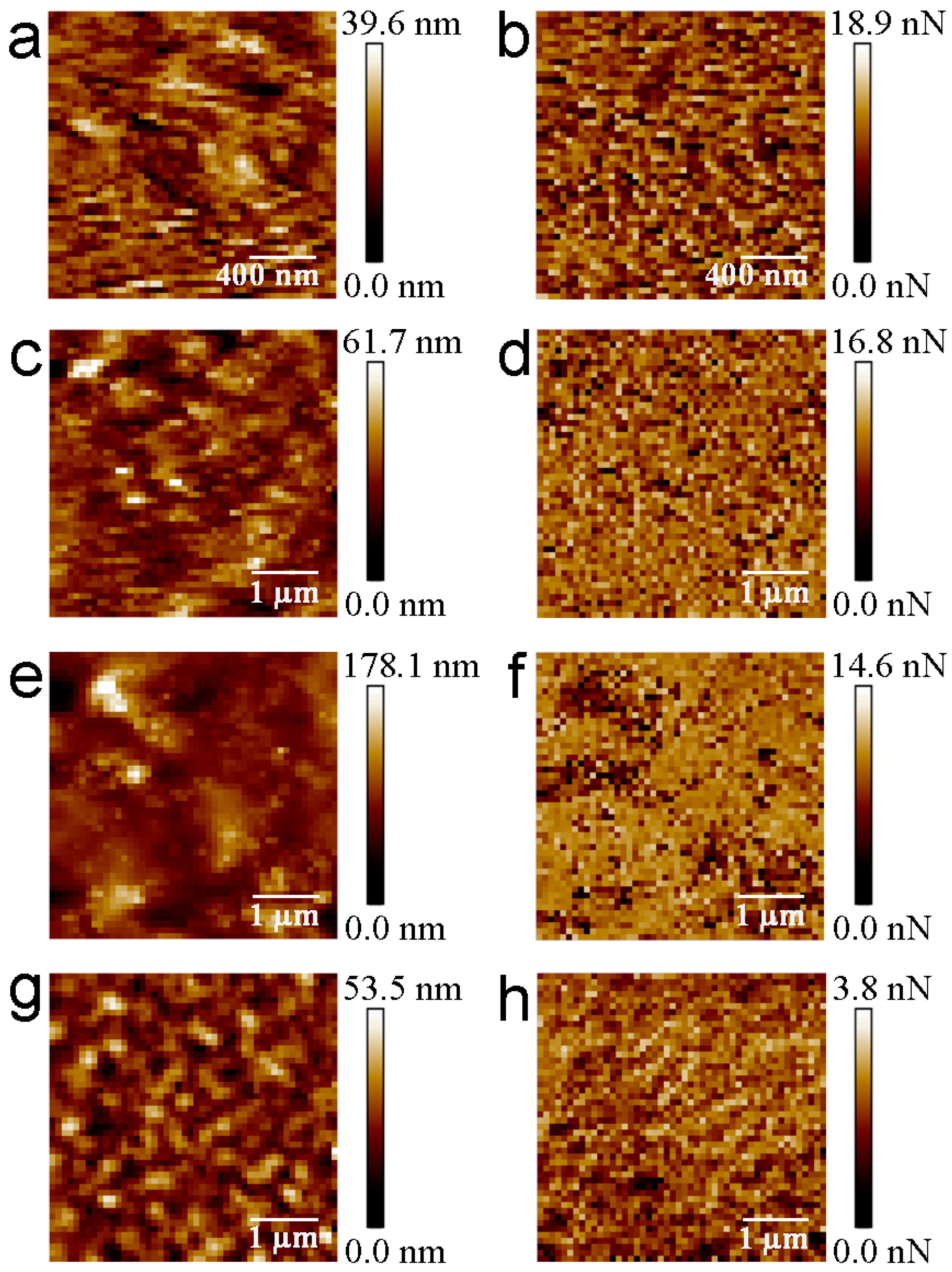 Materials 16 02440 g003