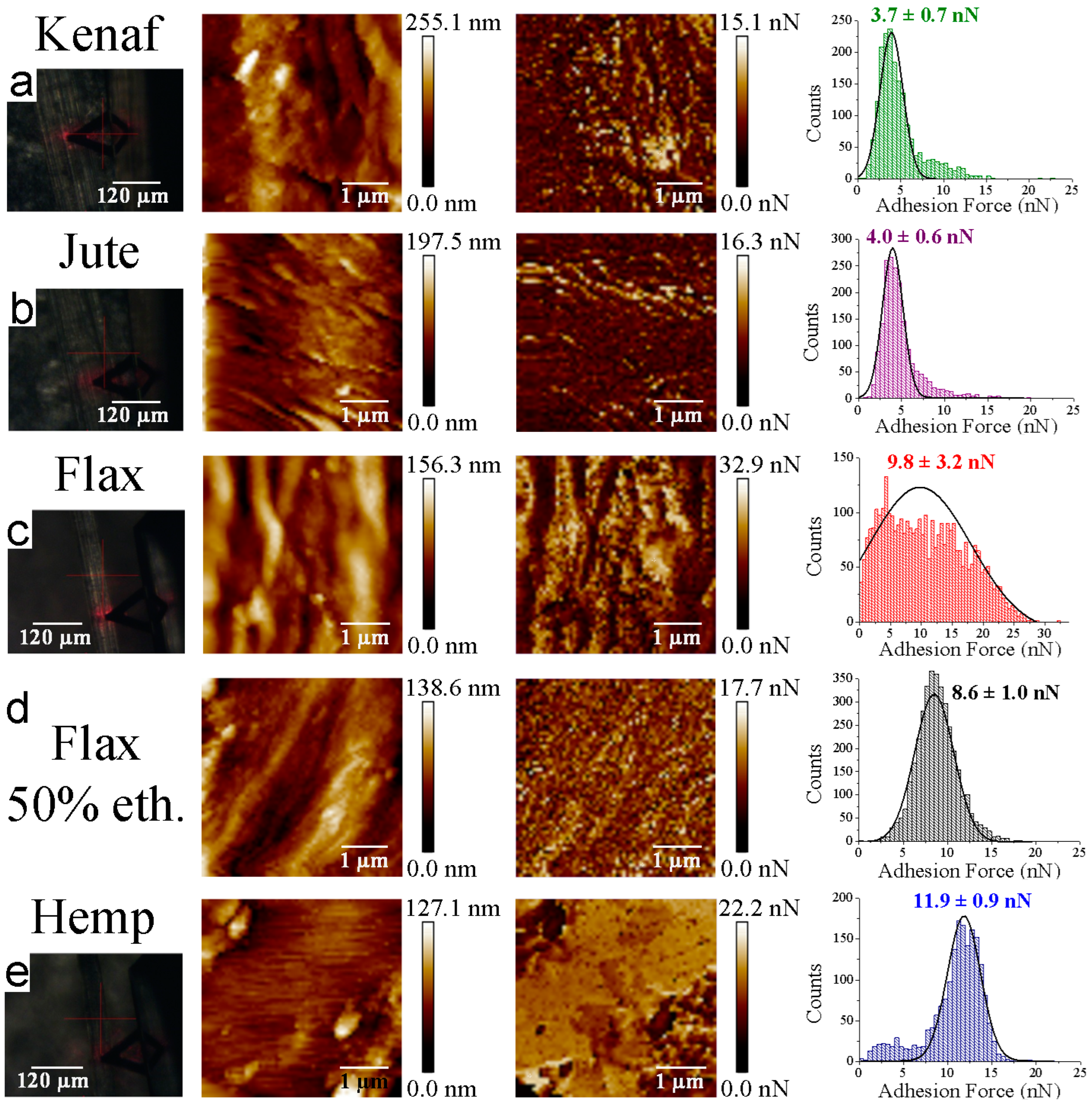 Materials 16 02440 g005