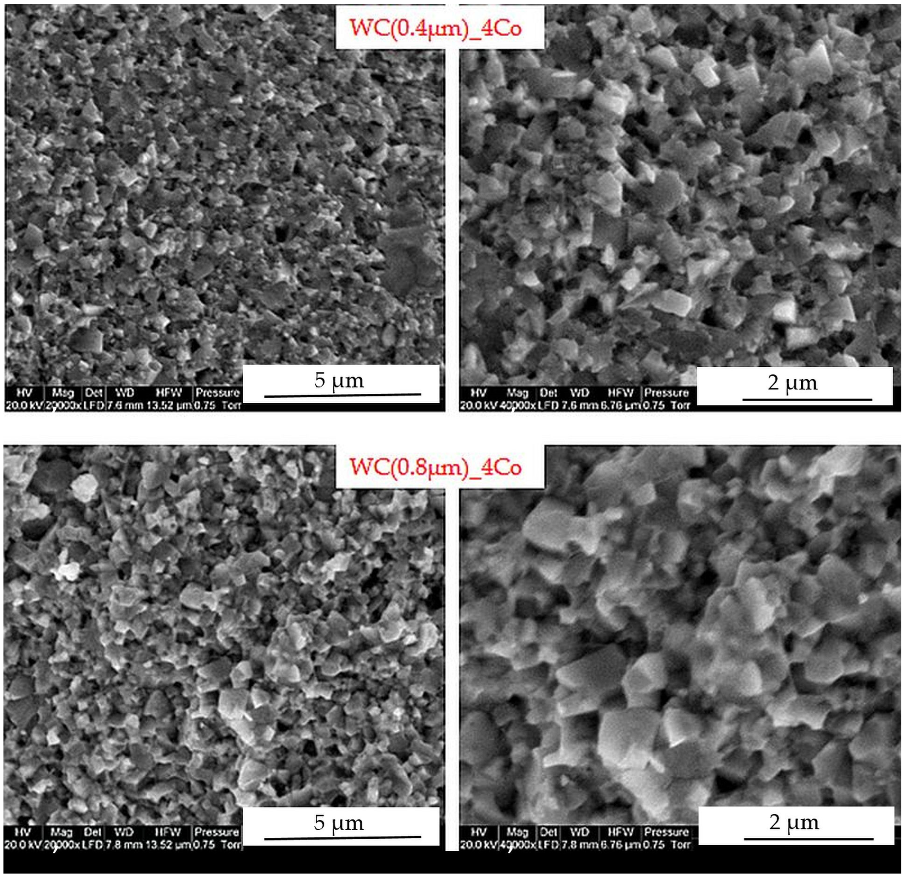 Materials 16 02450 g003 Materials 16 02450 g003