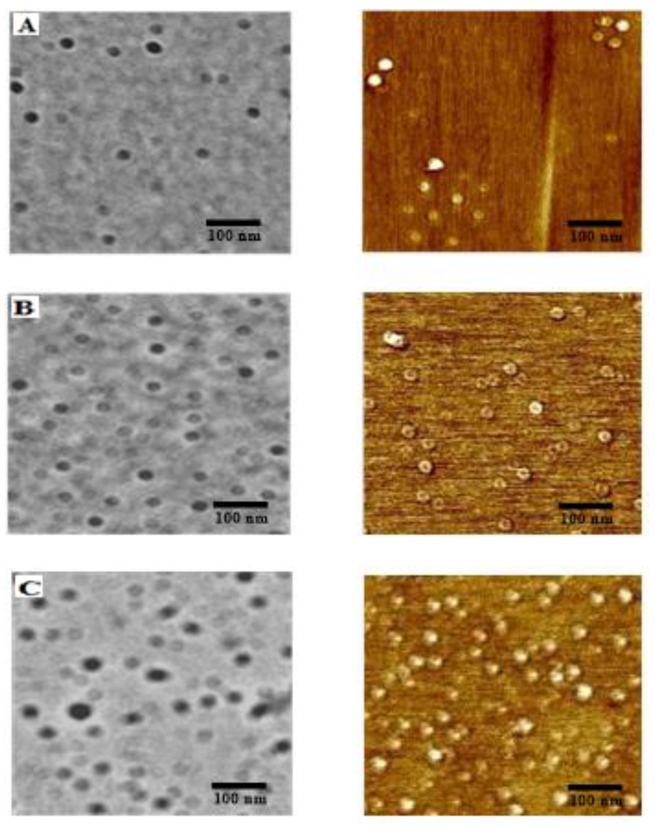 Materials 16 02461 g004