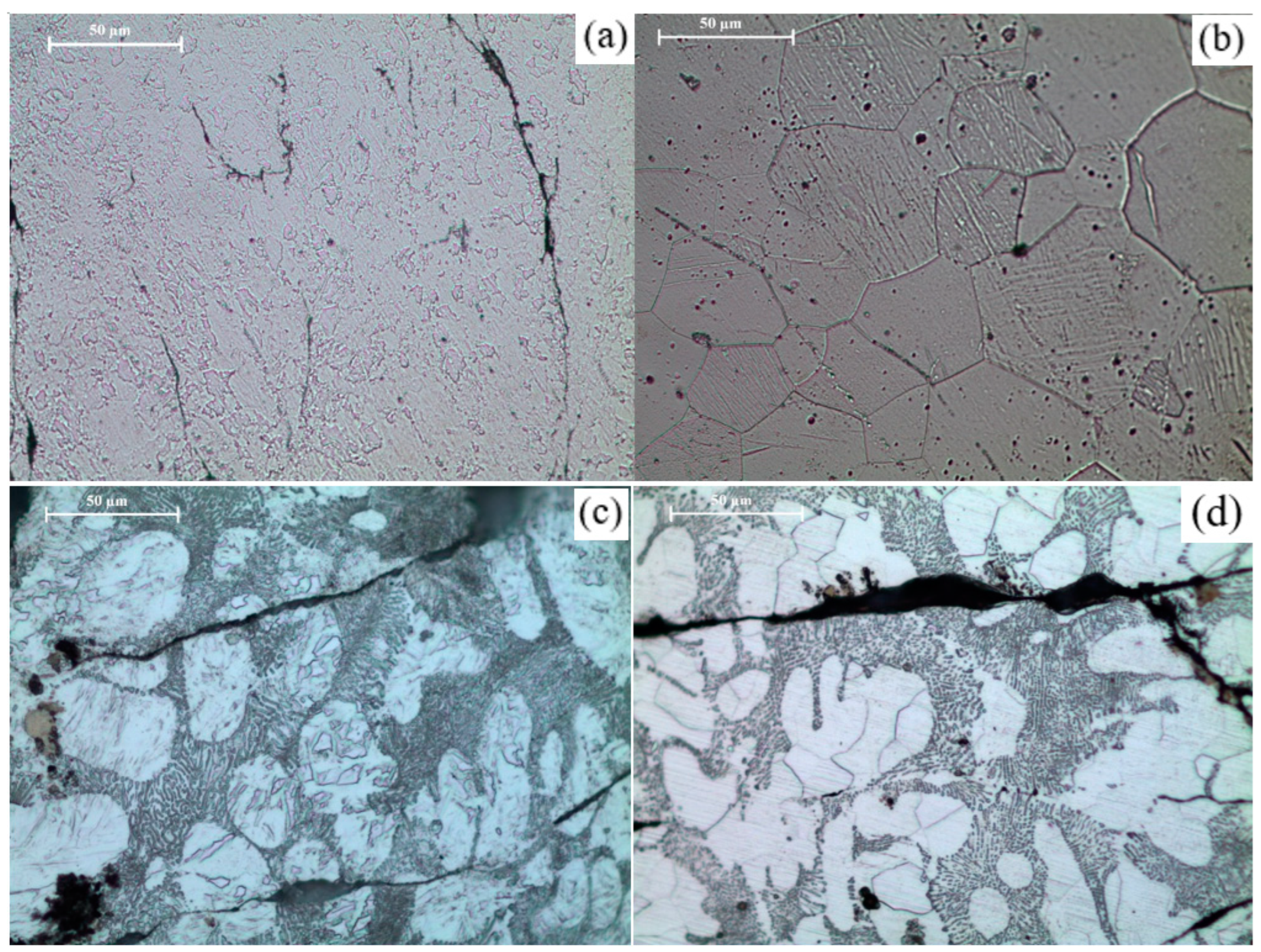 Materials 16 02463 g013 Materials 16 02463 g013