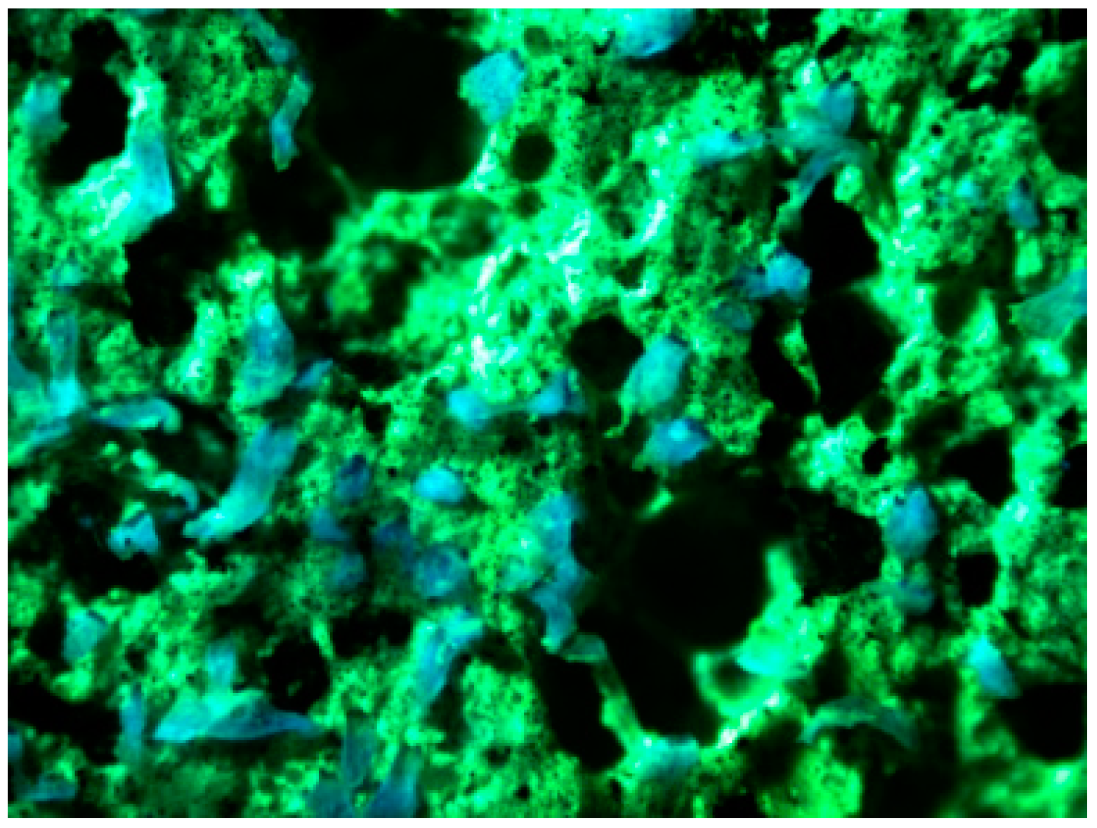 Materials 16 02465 g008 Materials 16 02465 g008