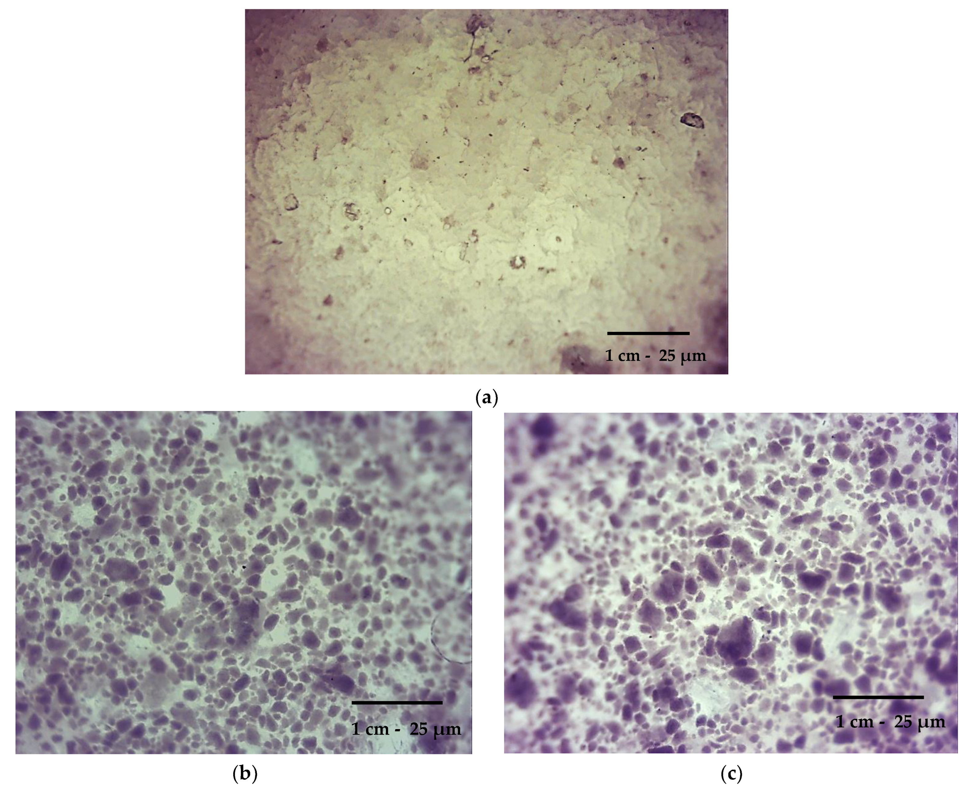 Materials 16 02468 g010a