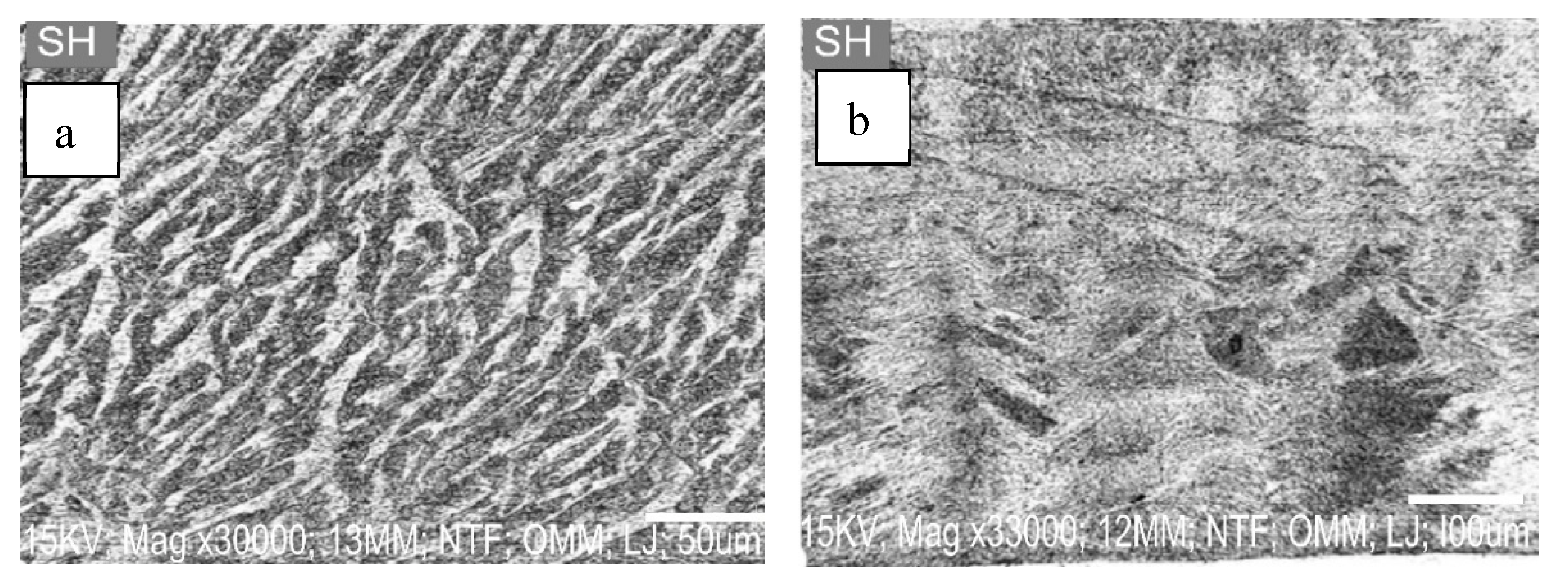 Materials 16 02471 g002