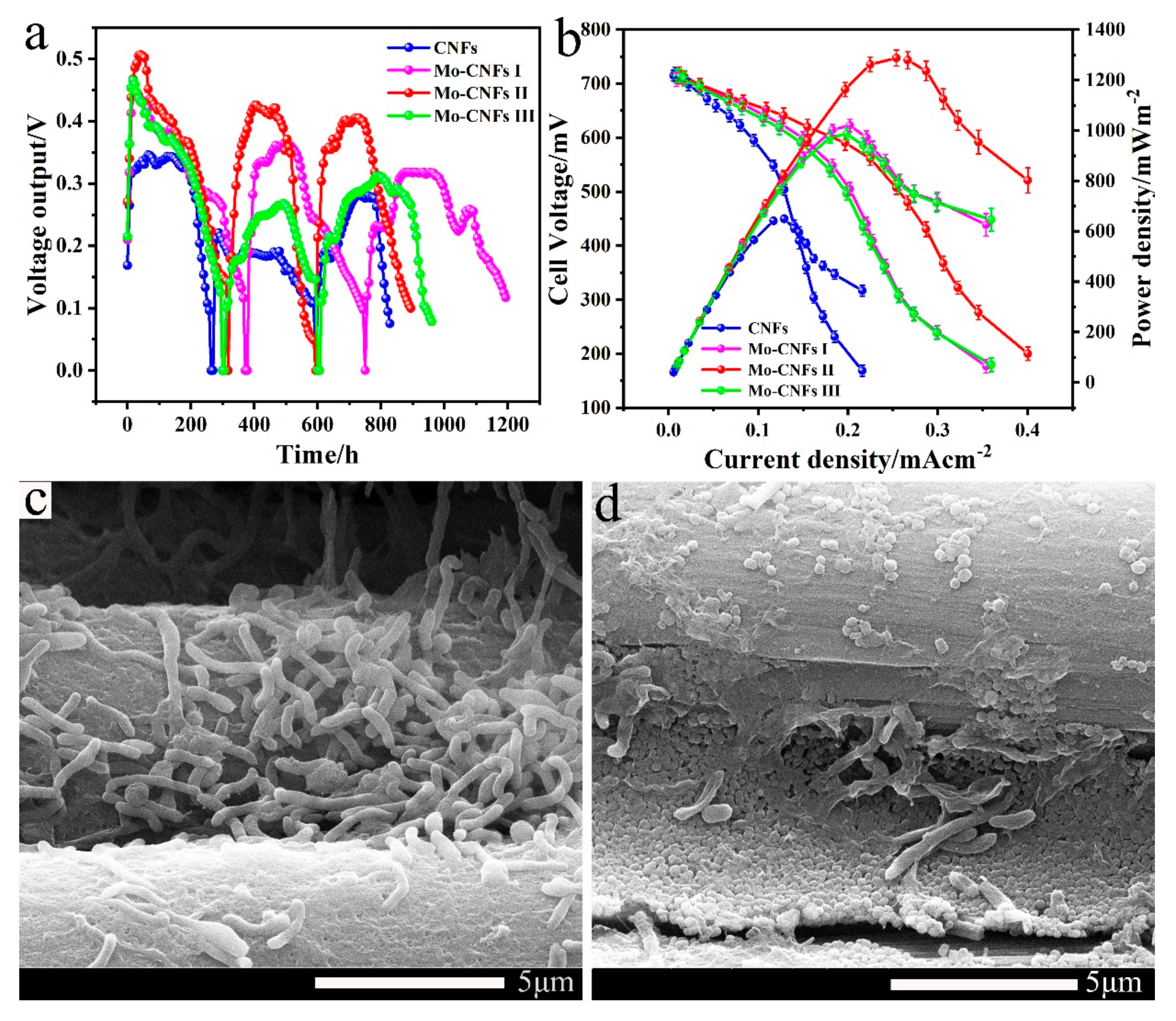 Materials 16 02479 g005 Materials 16 02479 g005