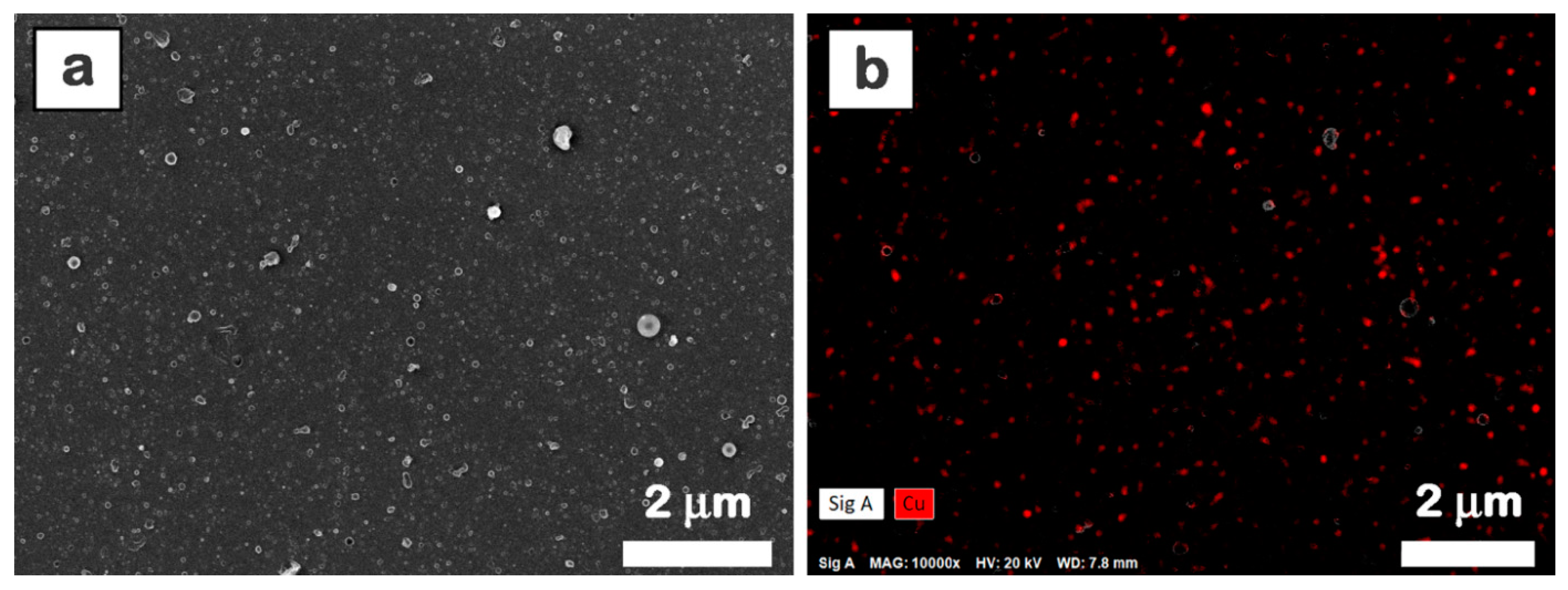 Materials 16 02480 g005