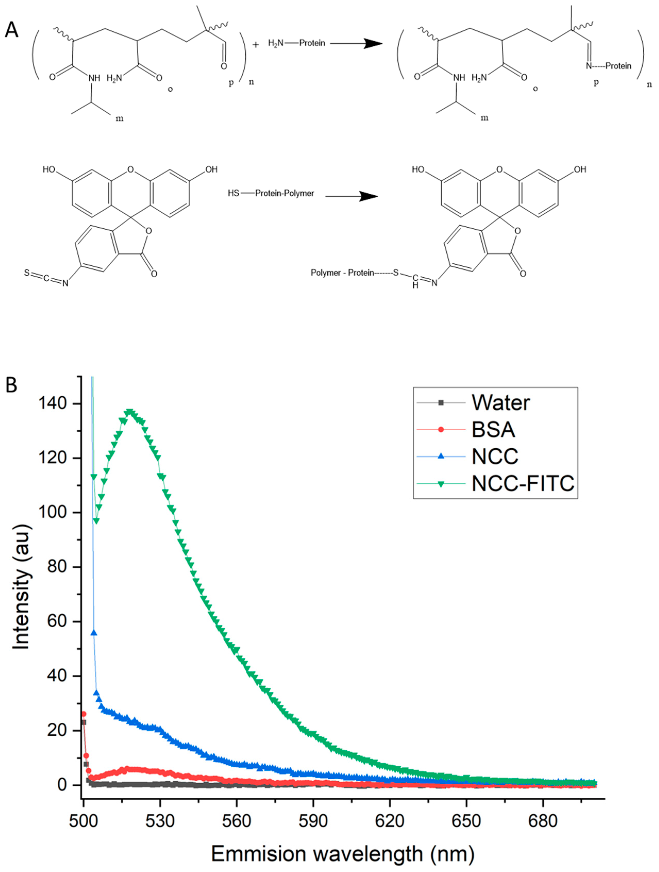 Materials 16 02482 g006