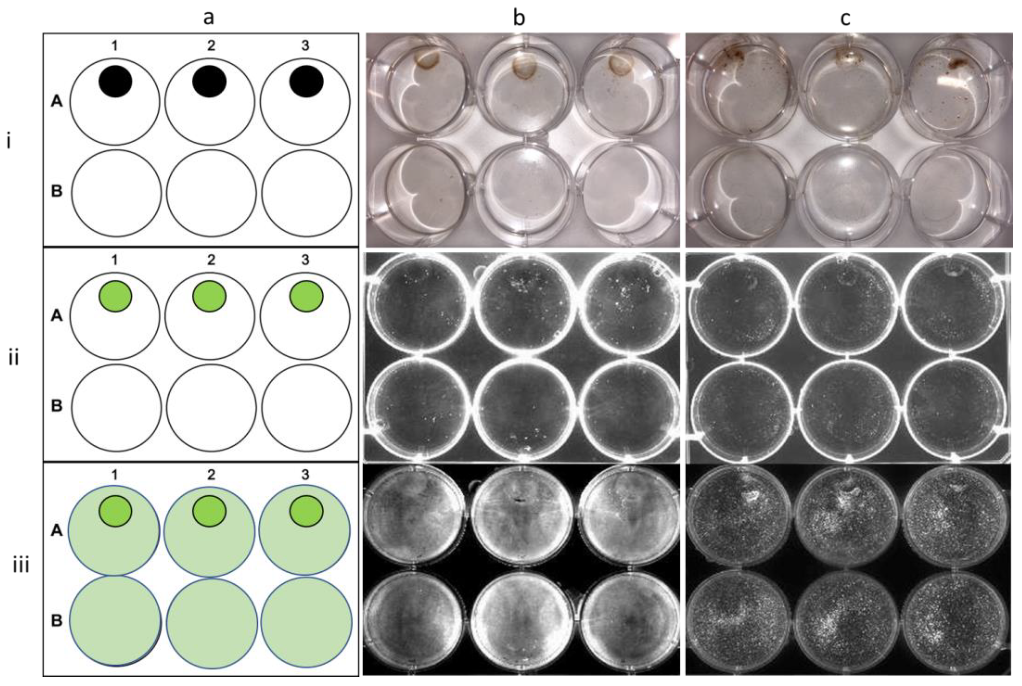 Materials 16 02482 g010