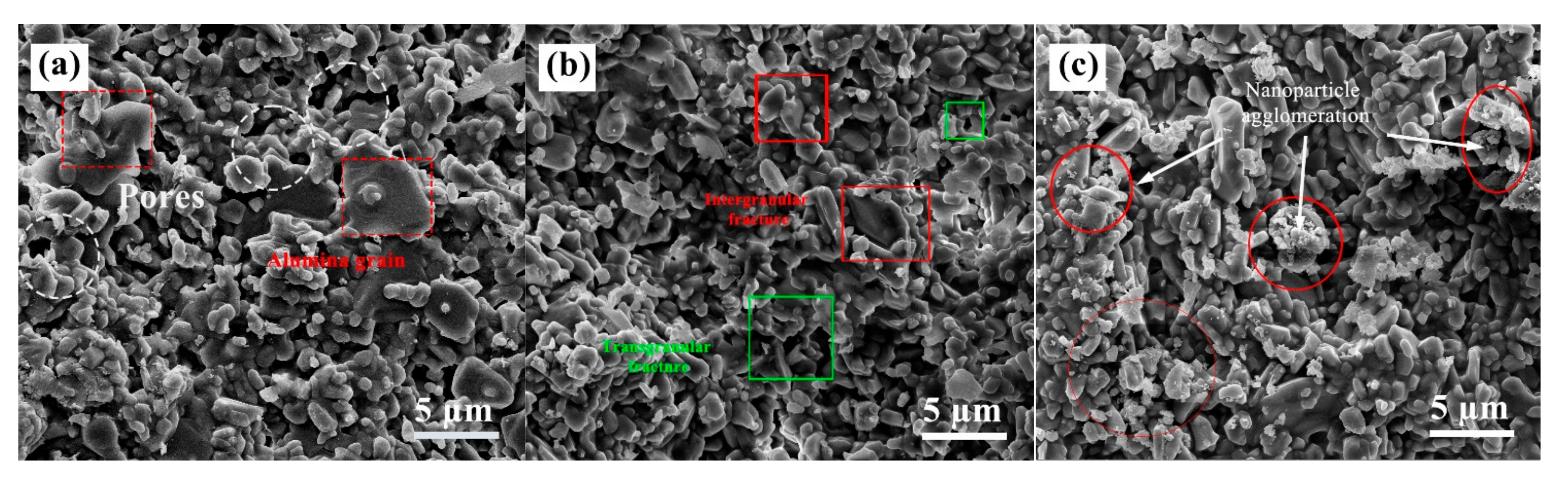 Materials 16 02483 g009 Materials 16 02483 g009