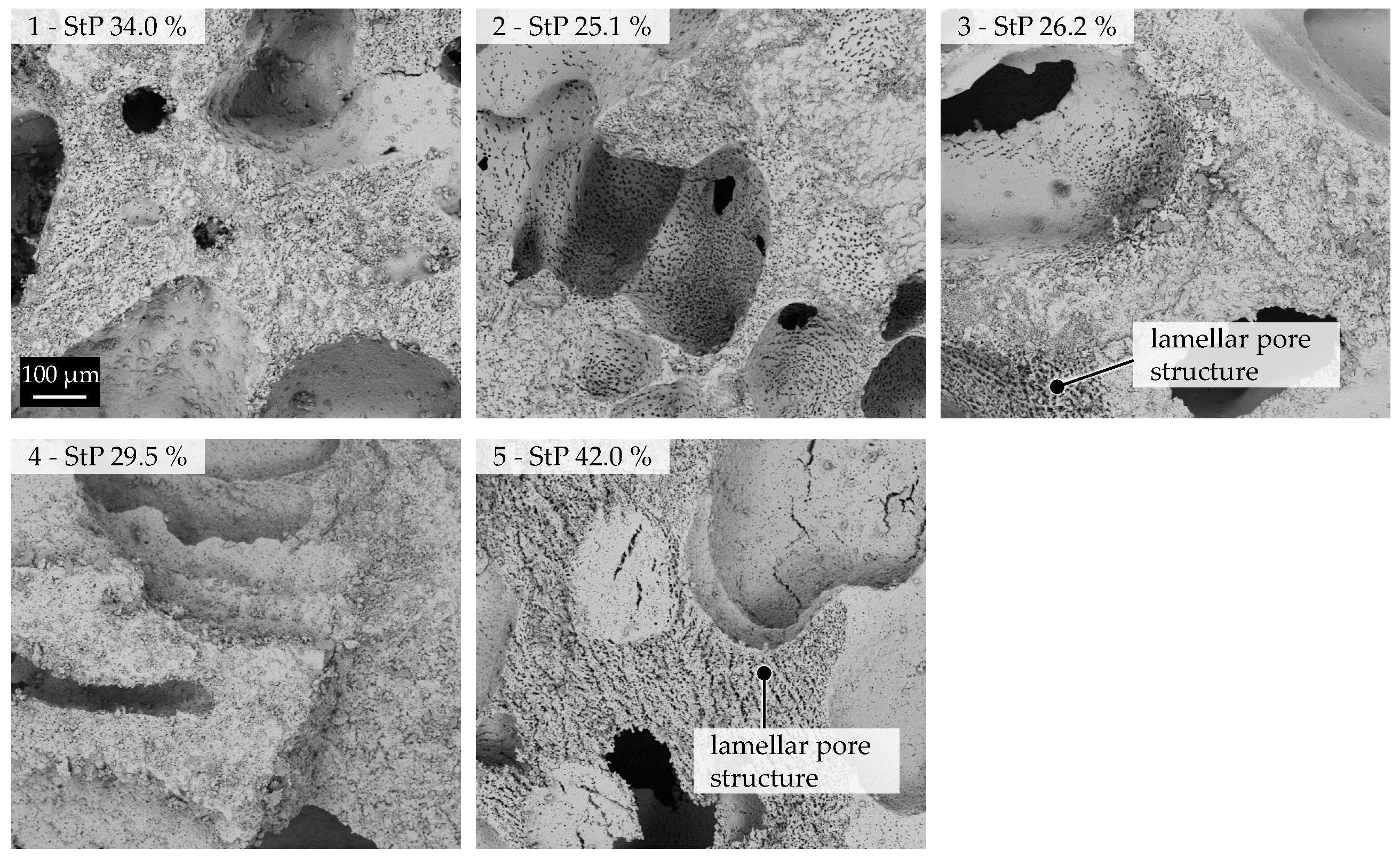 Materials 16 02484 g004