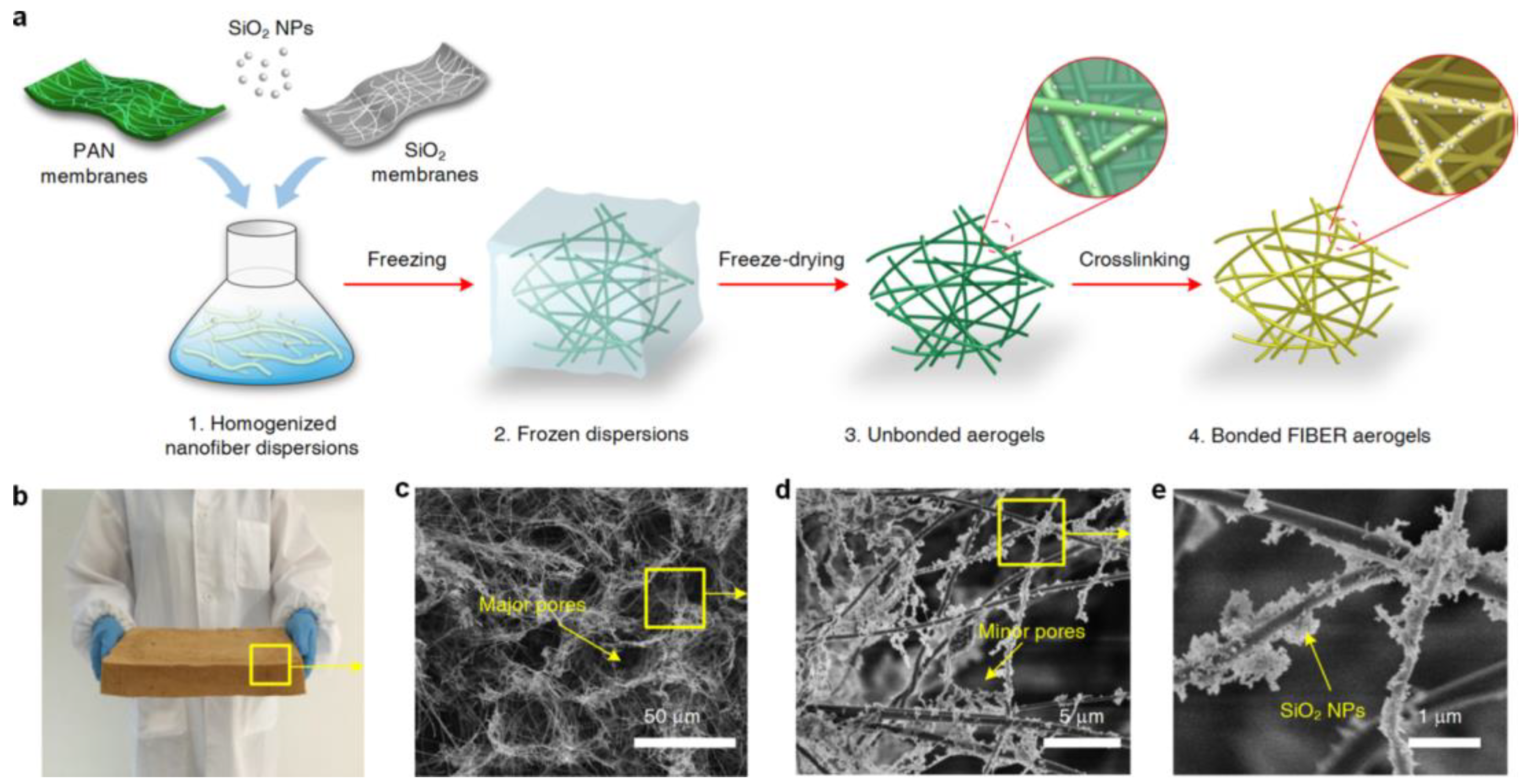 Materials 16 02503 g012 Materials 16 02503 g012