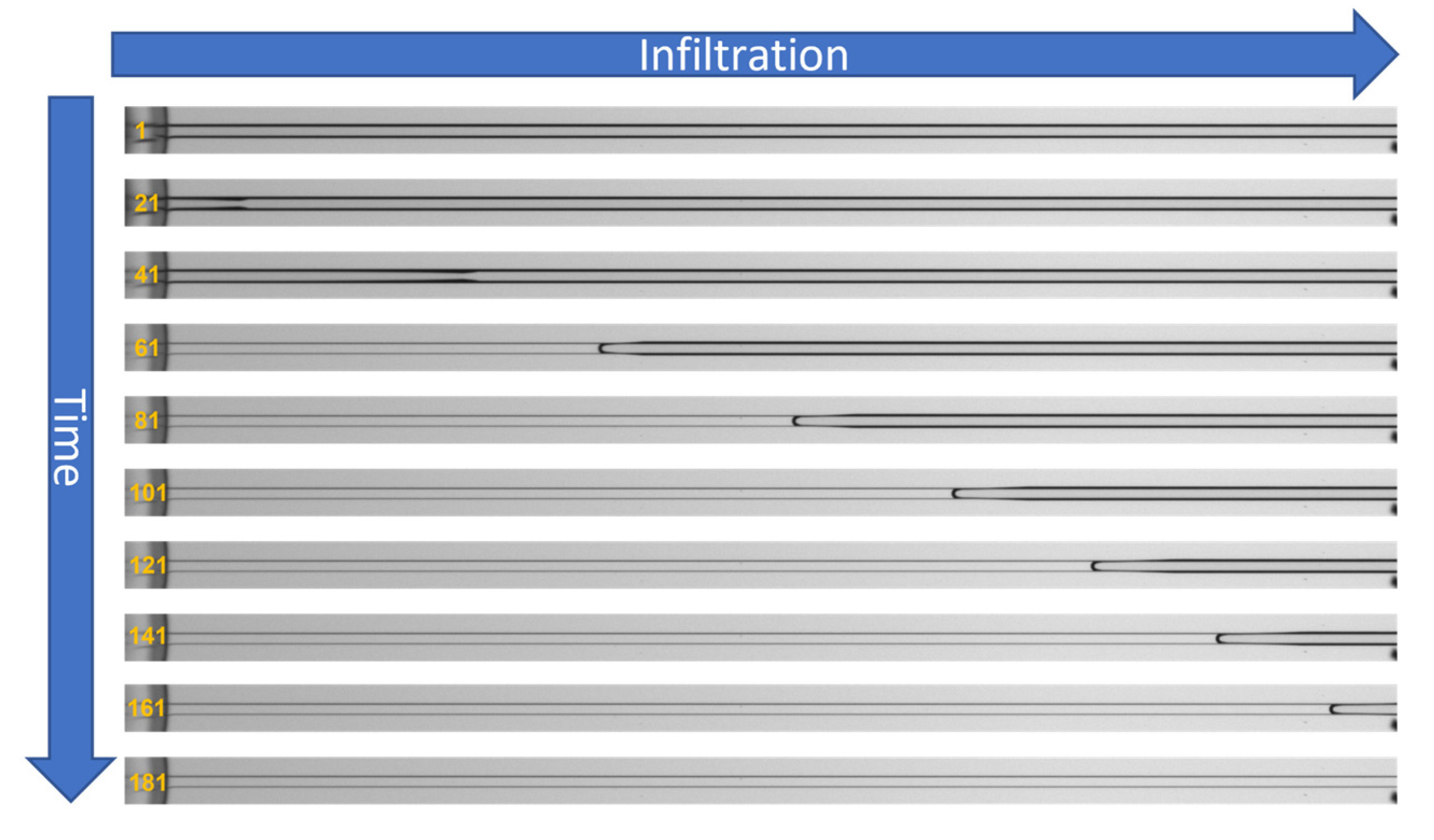 Materials 16 02506 g007 Materials 16 02506 g007