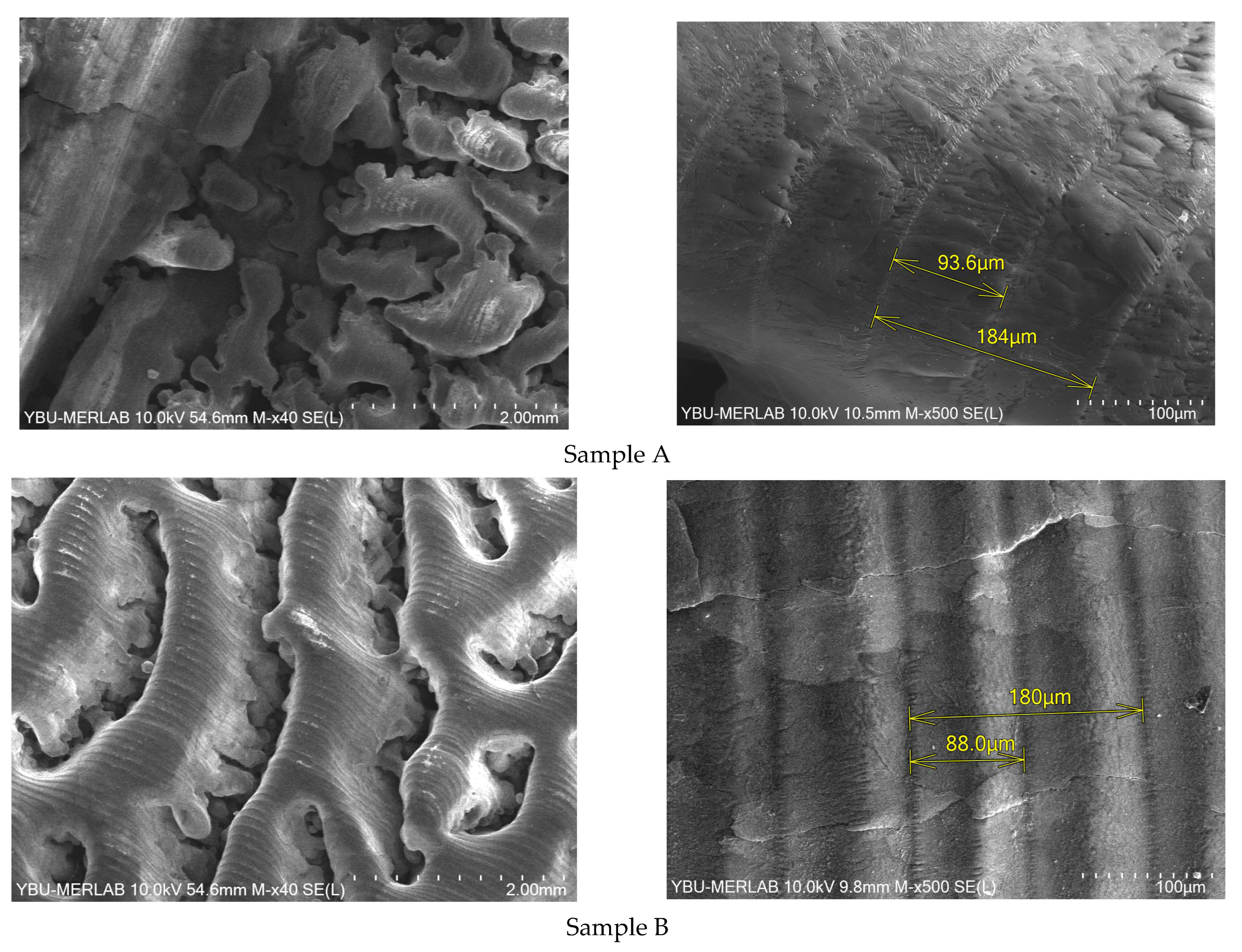 Materials 16 02507 g014 Materials 16 02507 g014