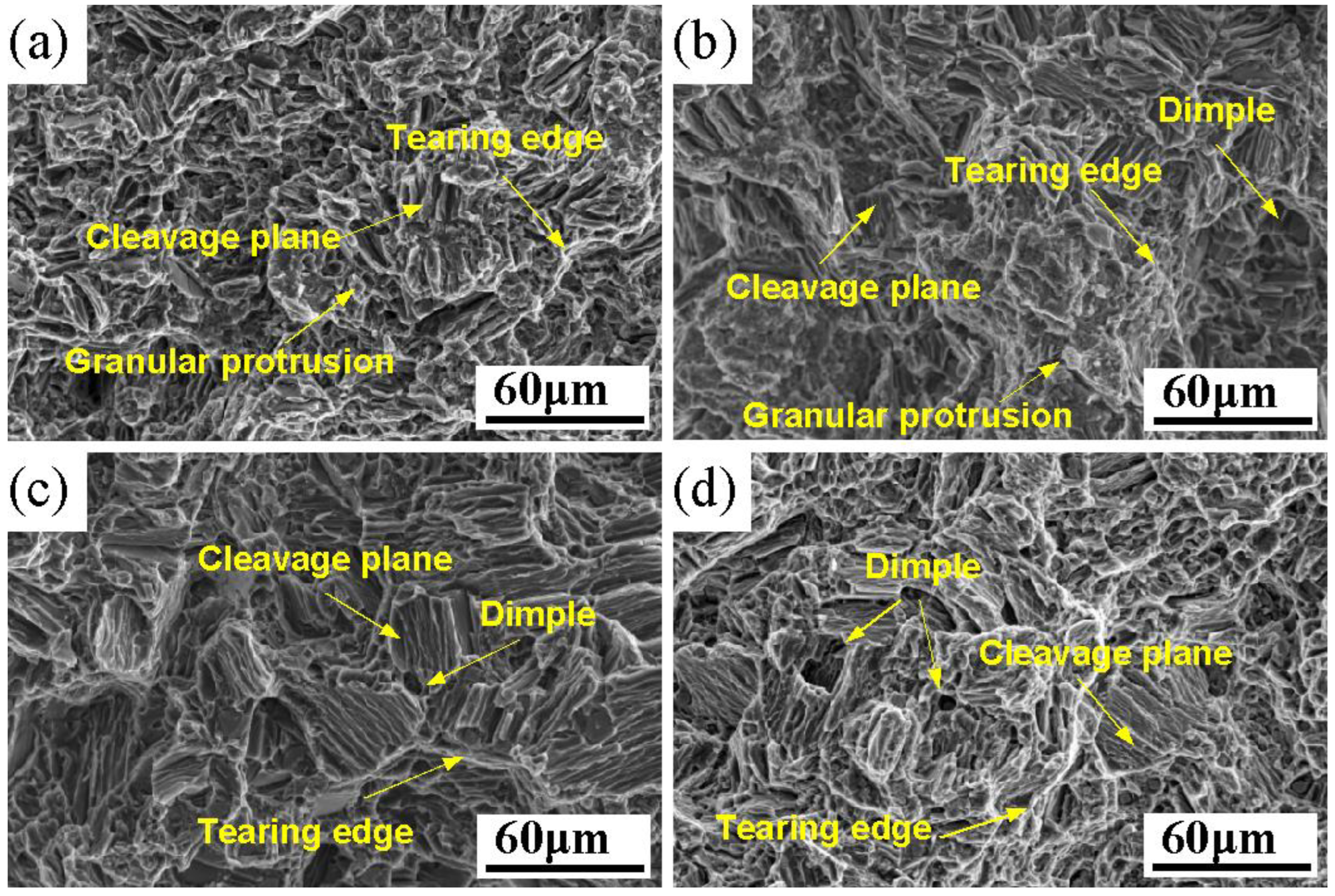 Materials 16 02512 g011