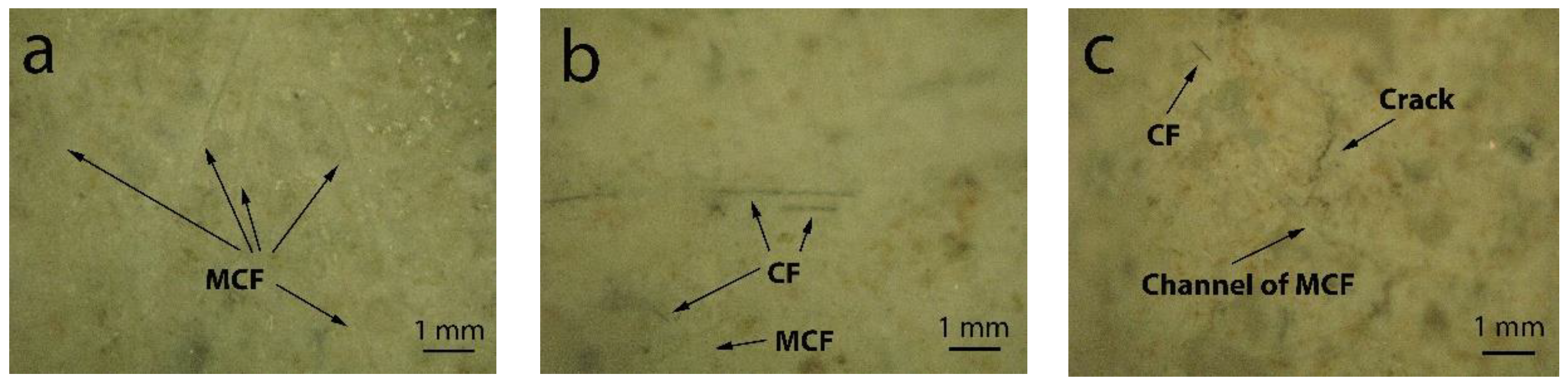 Materials 16 02513 g007