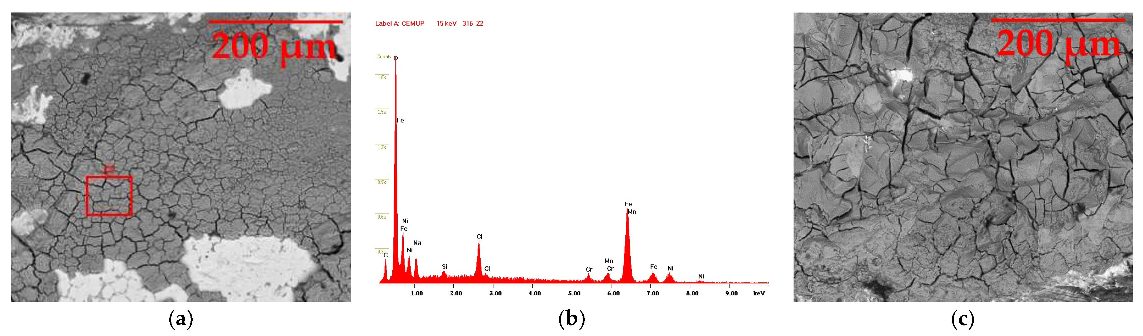Materials 16 02514 g006