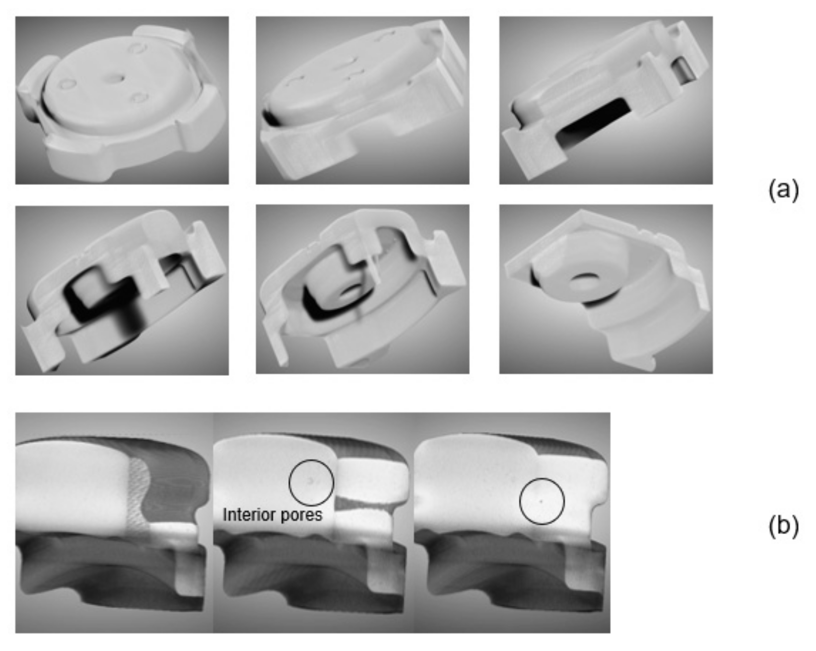 Materials 16 02516 g007