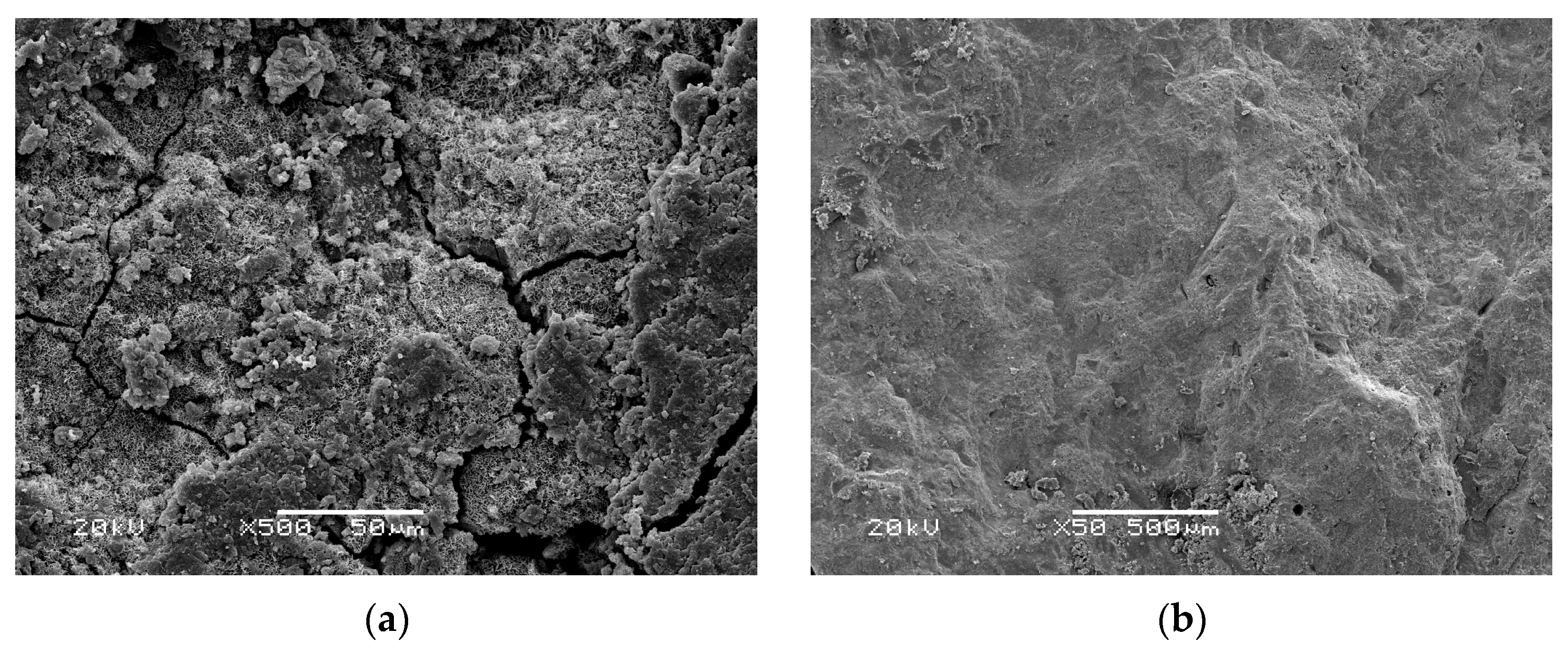 Materials 16 02521 g003 550