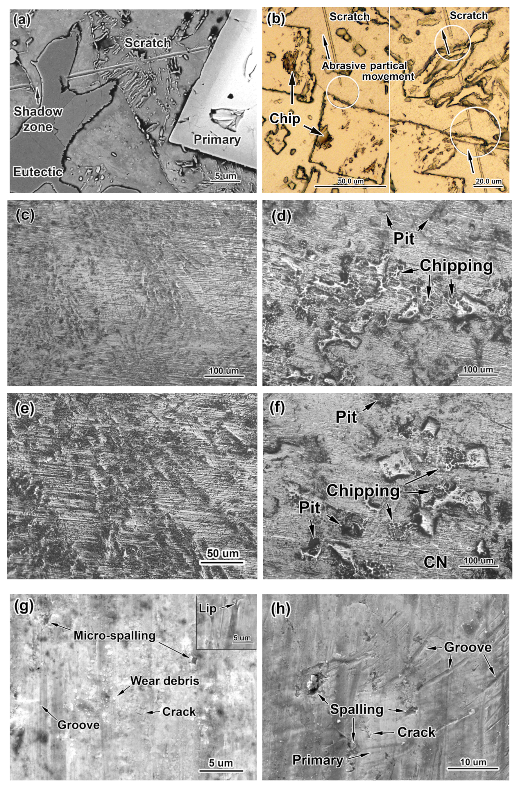 Materials 16 02530 g004