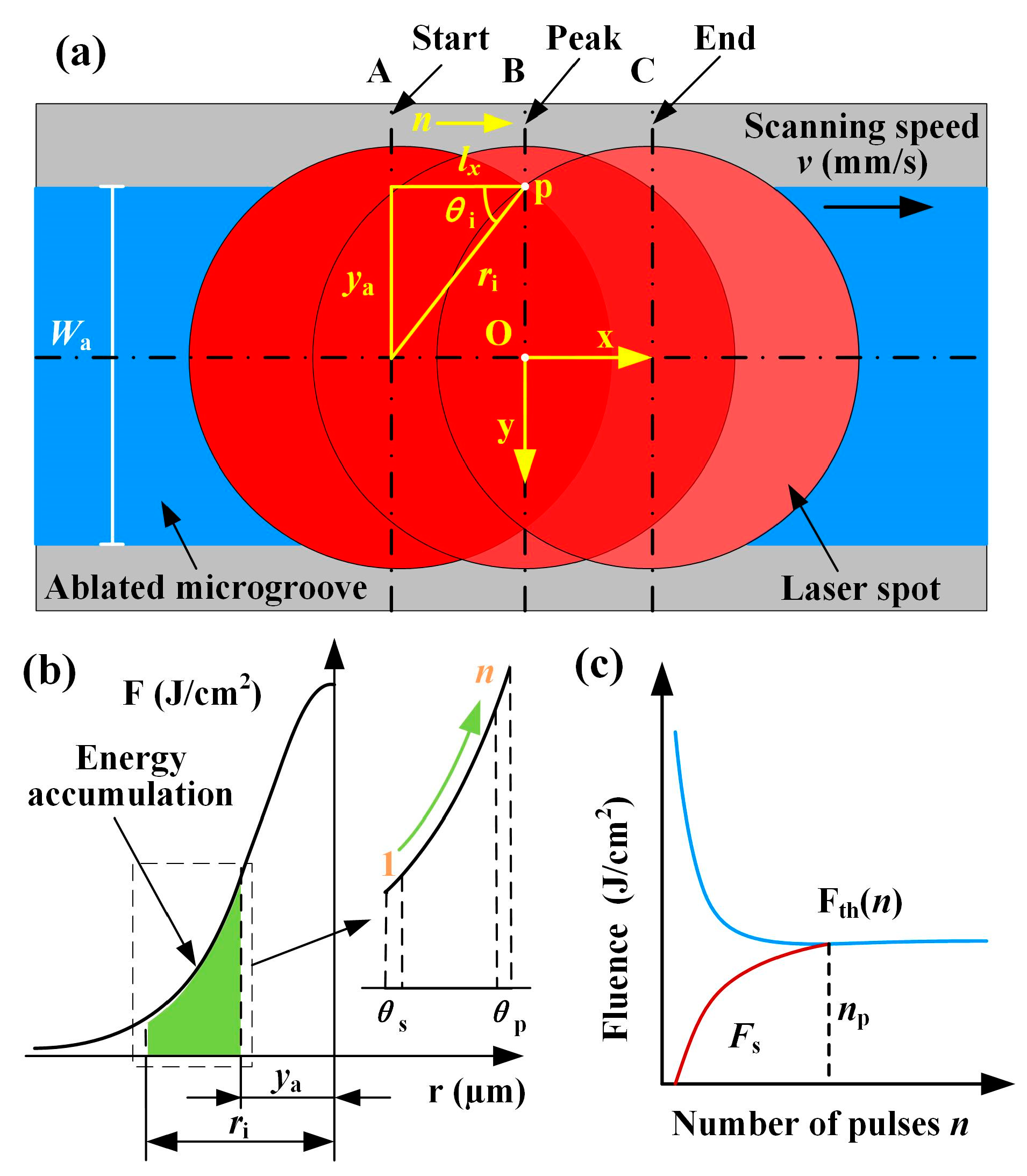 Materials 16 02536 g003