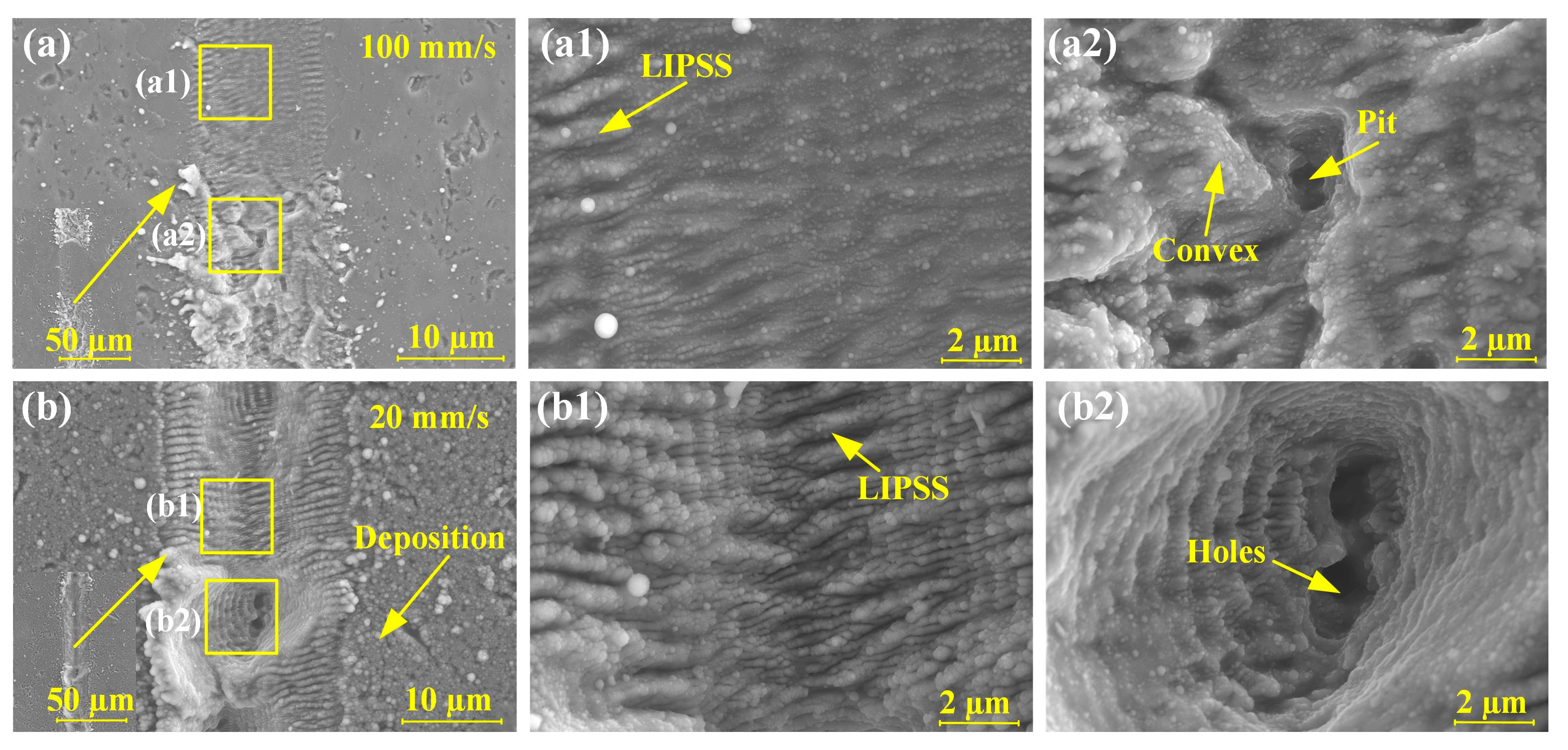 Materials 16 02536 g008