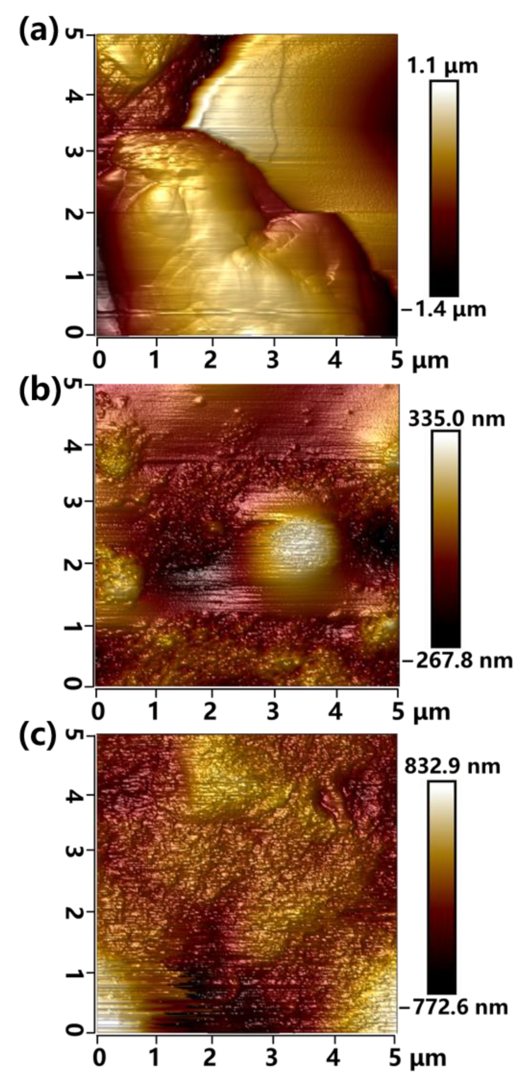 Materials 16 02540 g004