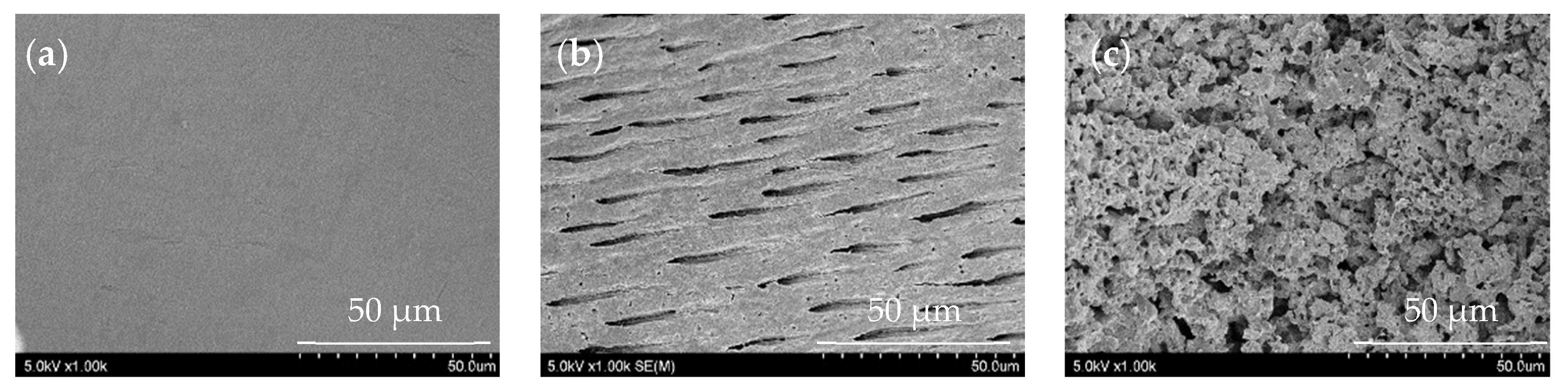 Materials 16 02542 g004 Materials 16 02542 g004