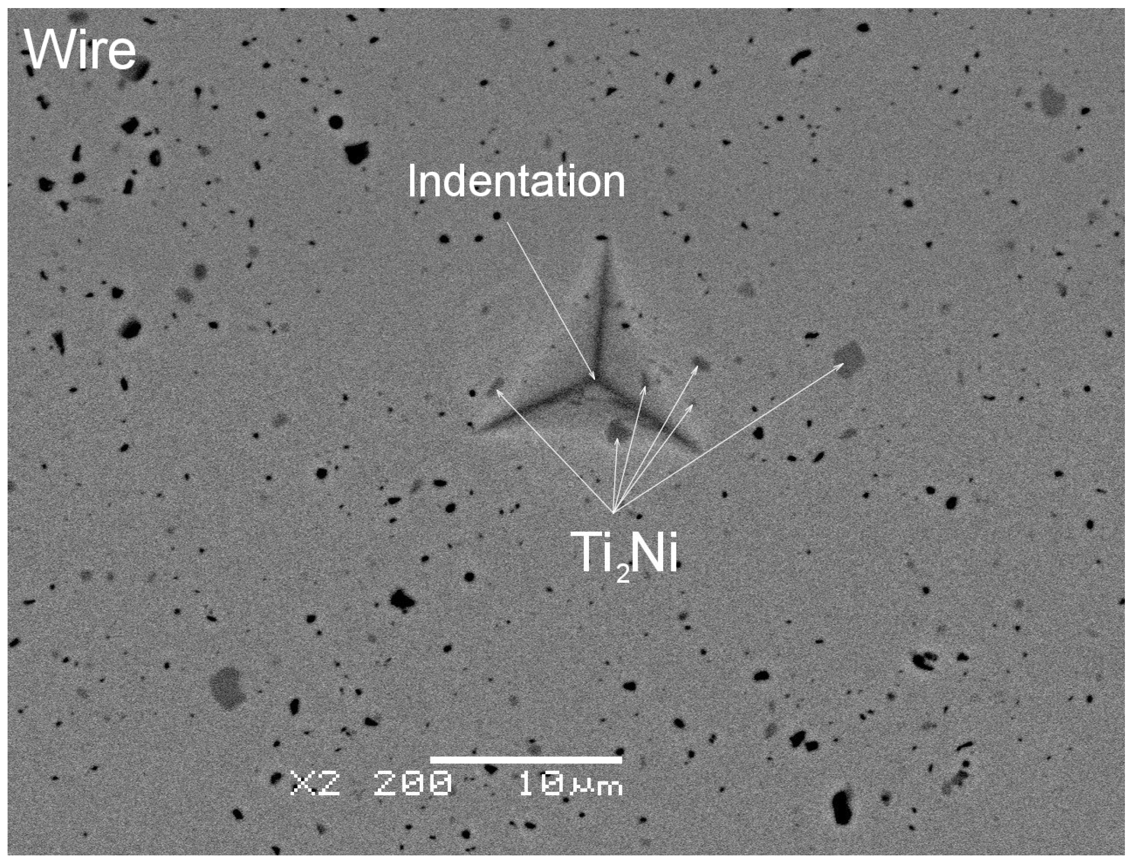 Materials 16 02543 g011 Materials 16 02543 g011