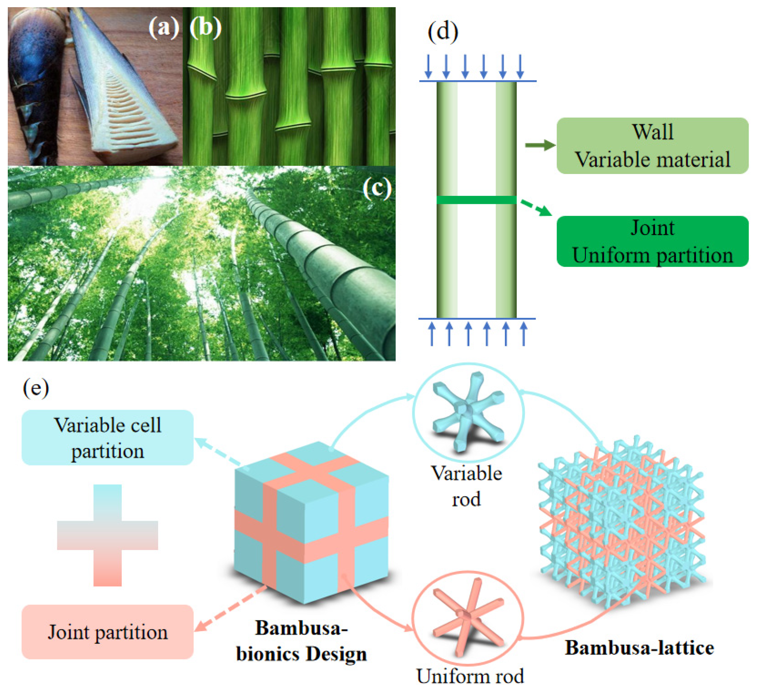 Materials 16 02545 g002 550