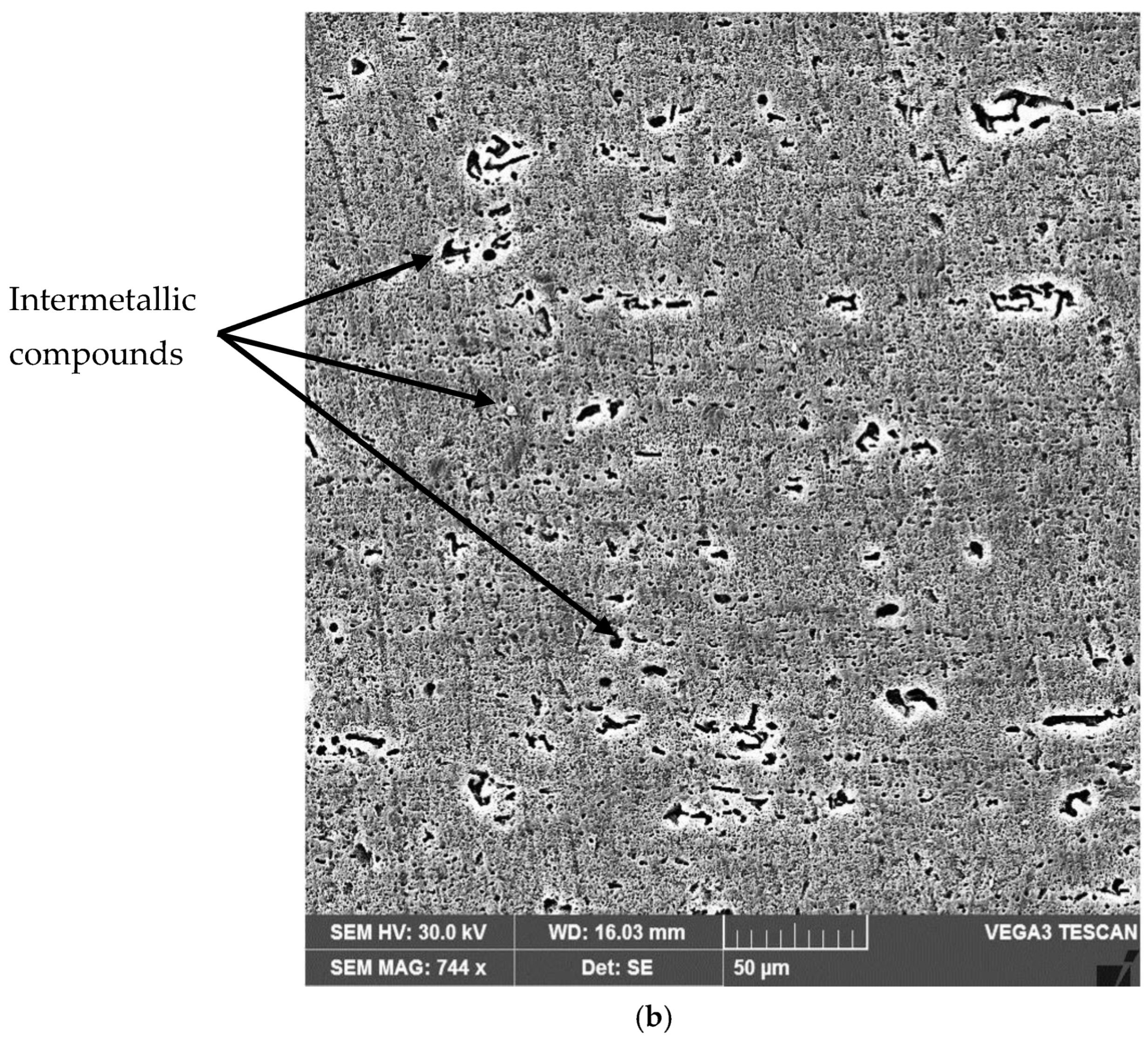 Materials 16 02563 g002b Materials 16 02563 g002b
