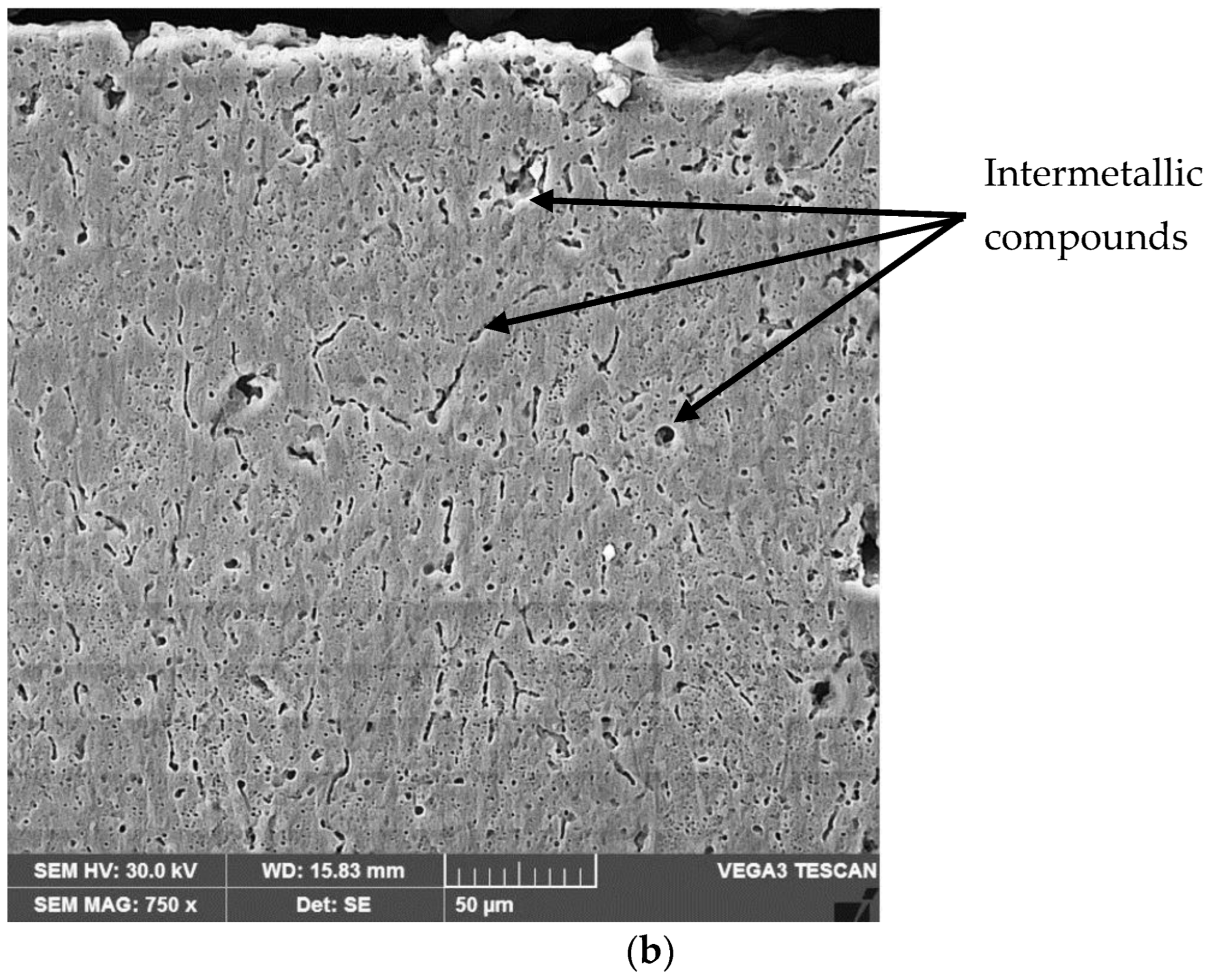 Materials 16 02563 g010b Materials 16 02563 g010b