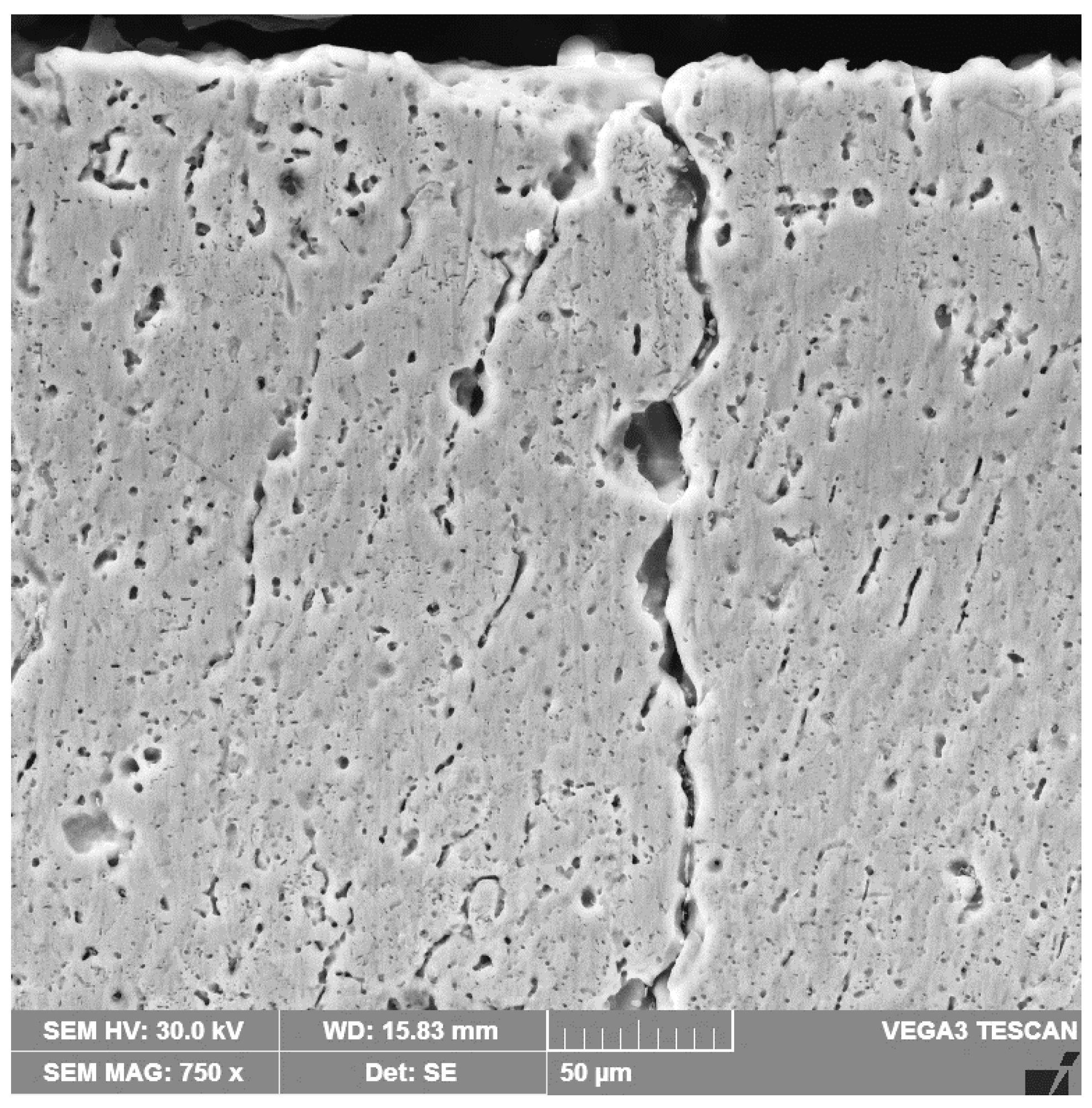 Materials 16 02563 g011 Materials 16 02563 g011