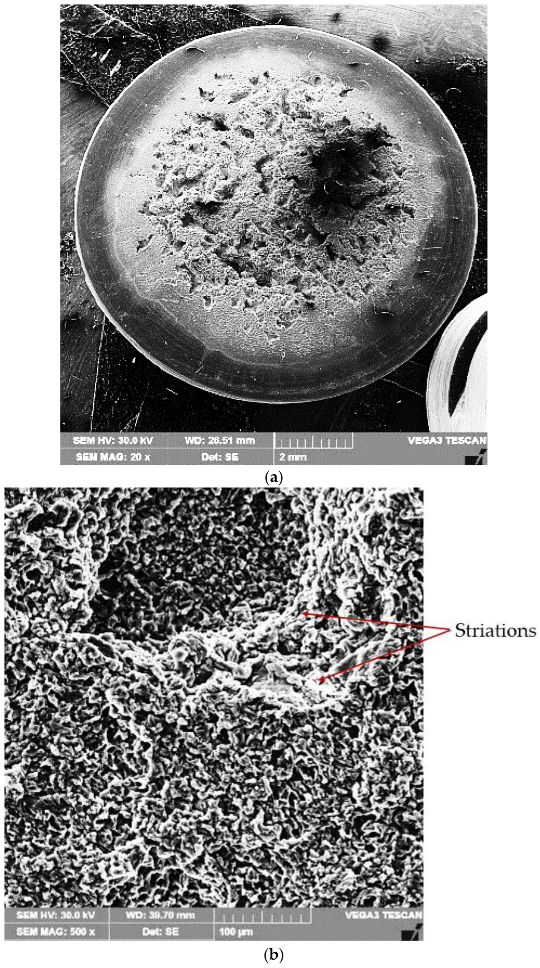 Materials 16 02563 g012a Materials 16 02563 g012a