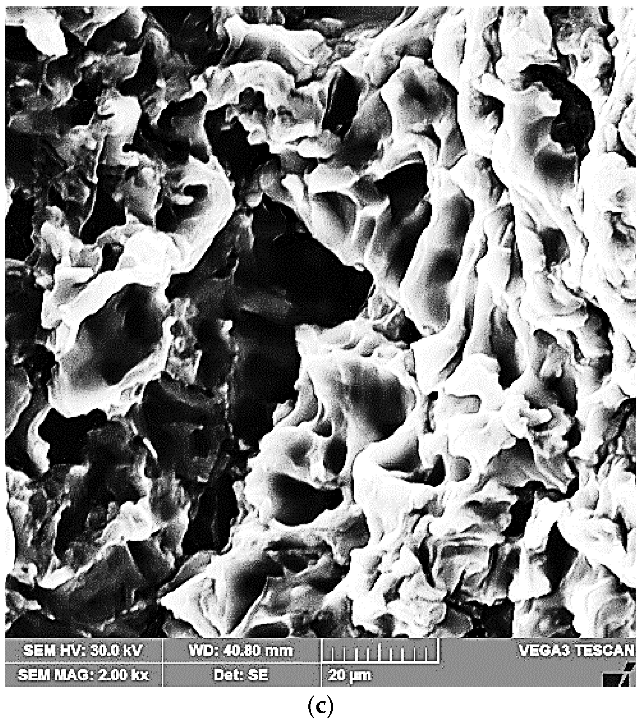 Materials 16 02563 g012b Materials 16 02563 g012b