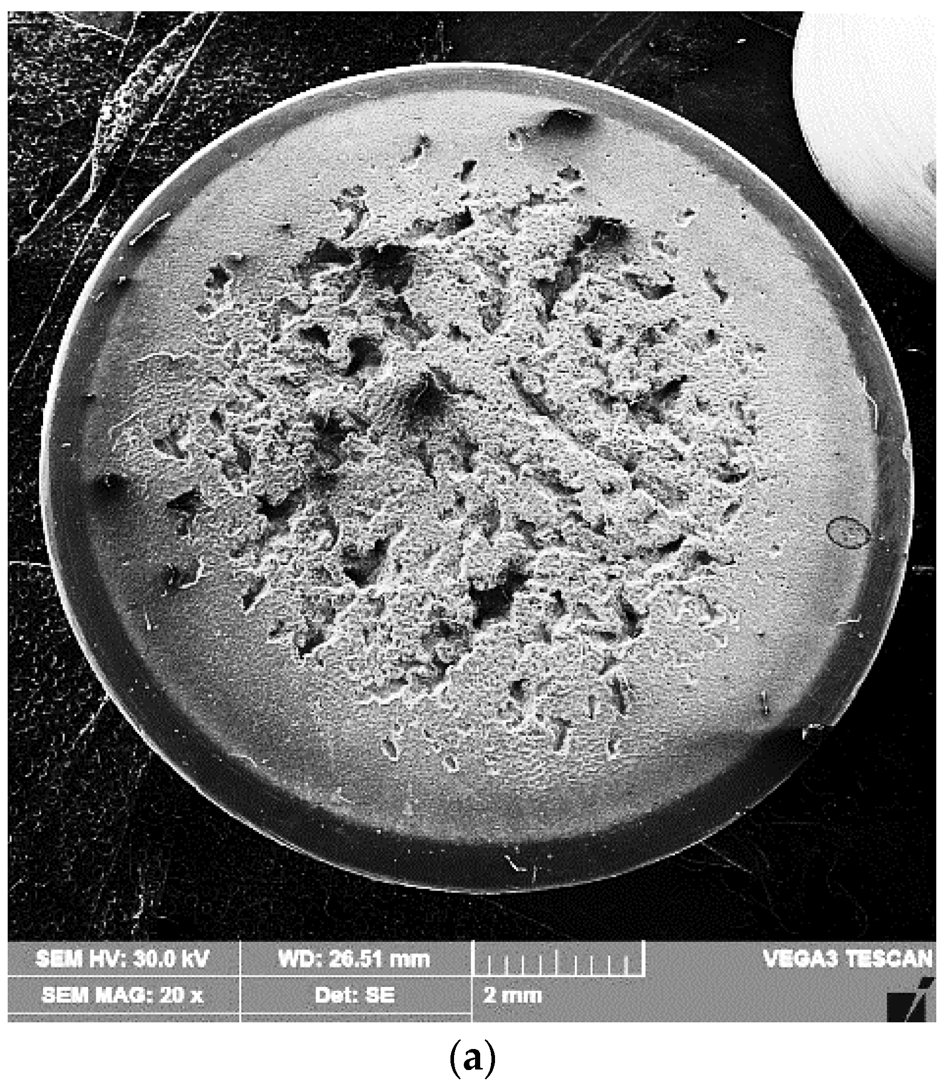 Materials 16 02563 g013a Materials 16 02563 g013a