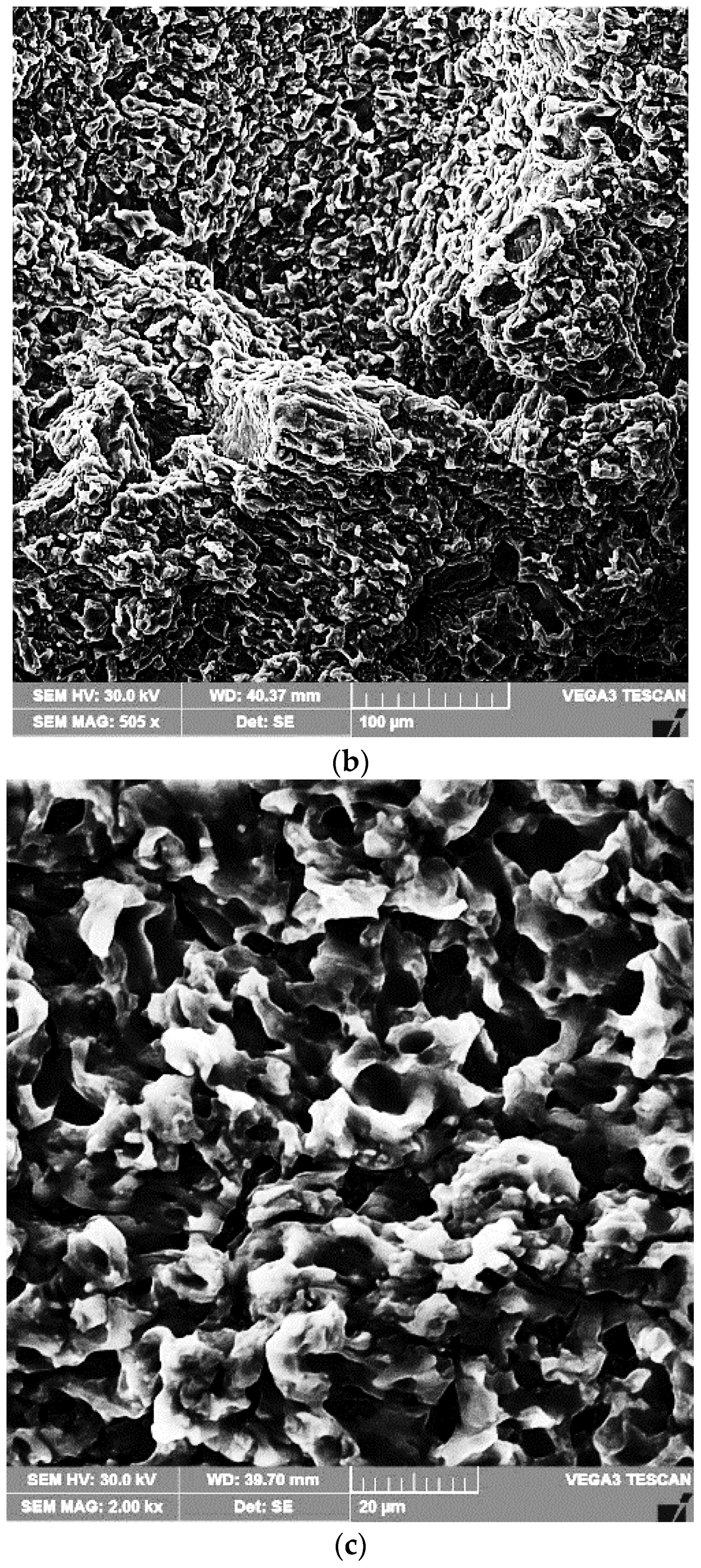 Materials 16 02563 g013b Materials 16 02563 g013b