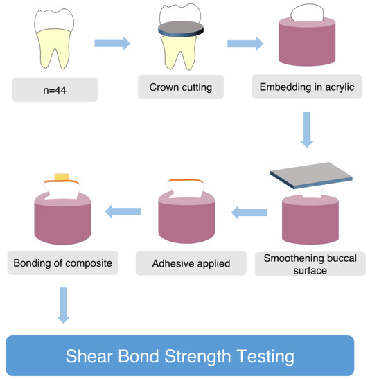 Materials Free FullText Shear Bond Strength and Fluoride Release